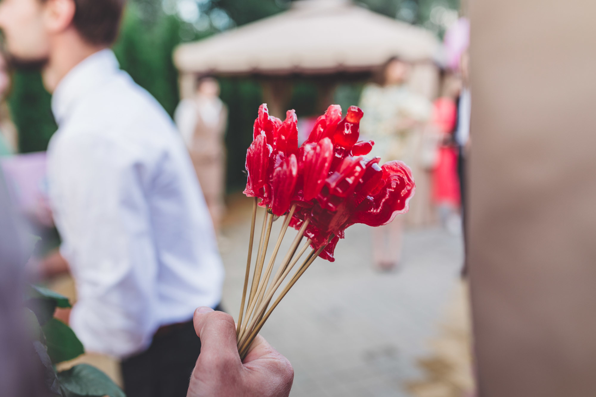 Արտեմ և Ջուլիա. Հարսանեկան լուսանկարչություն Հայաստանում Ադամյանների ընտանիքի կողմից