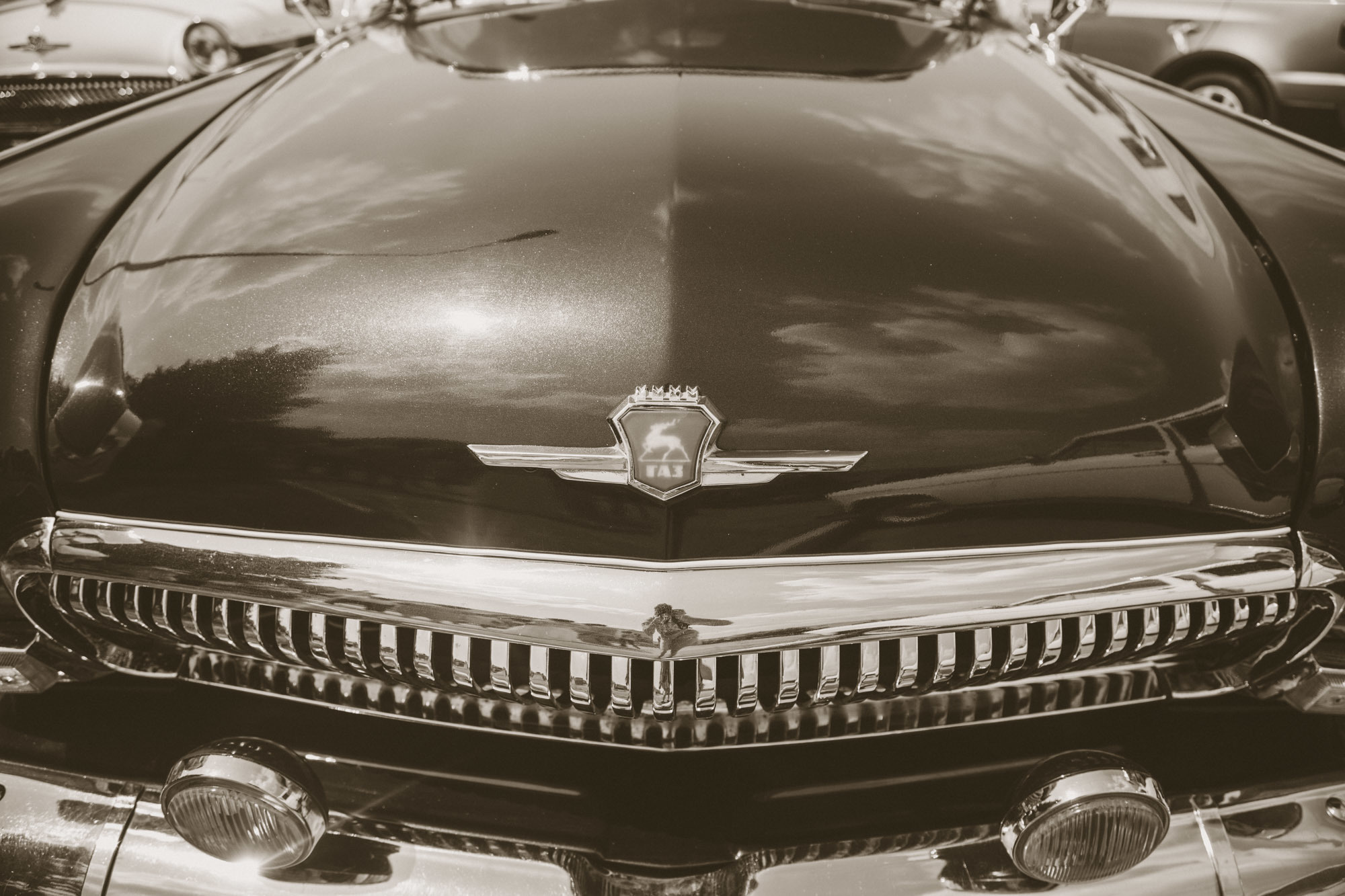 Андрей & Вика. Свадебная и семейная фотография в Курске Адамян Давид