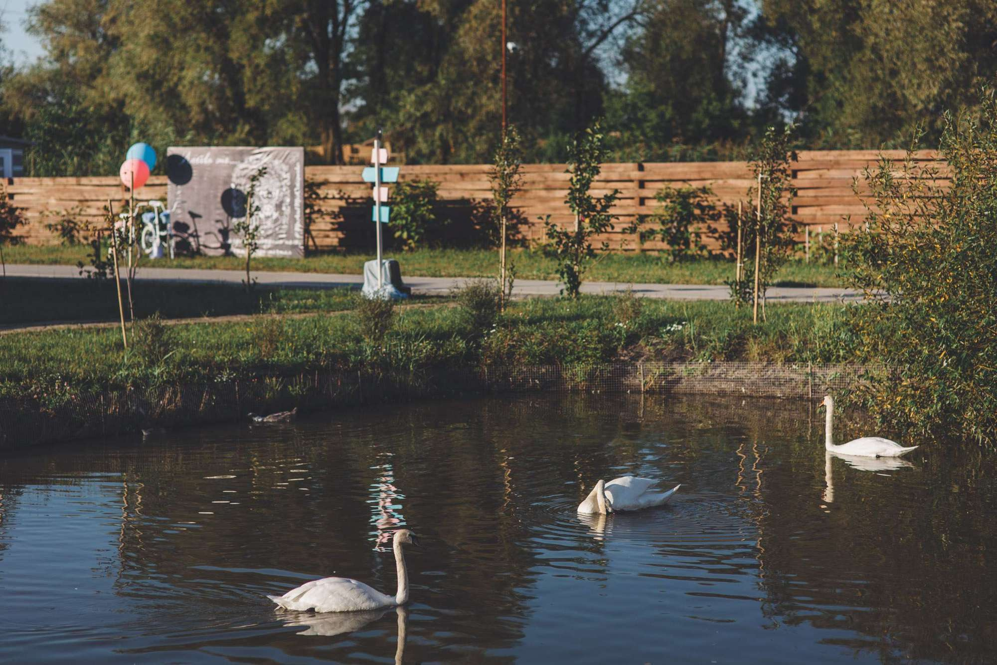 Andrey & Alexandra Wed. Wedding and family photography Adamians