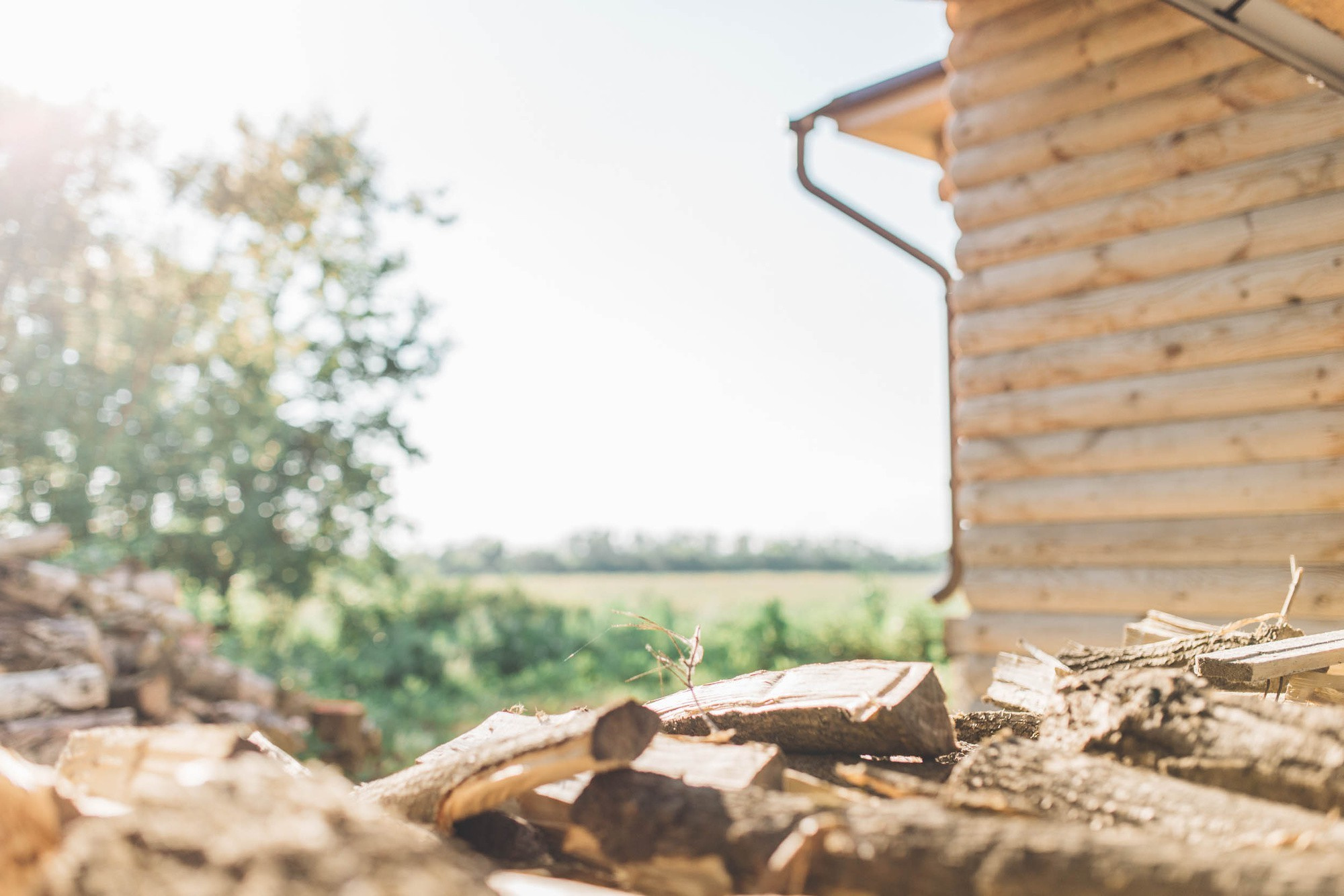 Պավել և Եկատերինա. Հարսանեկան լուսանկարչություն Հայաստանում Ադամյանների ընտանիքի կողմից