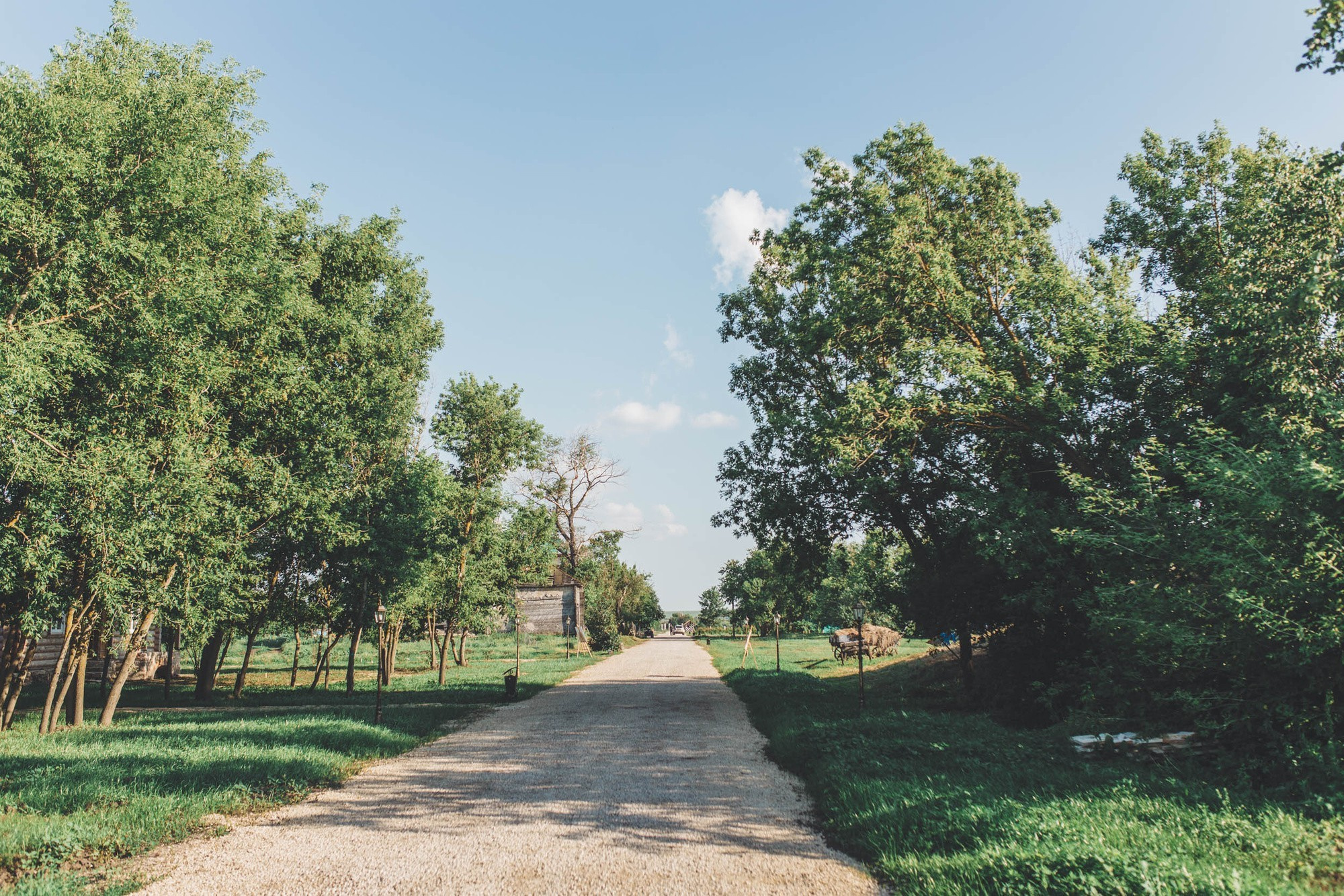 Պավել և Եկատերինա. Հարսանեկան լուսանկարչություն Հայաստանում Ադամյանների ընտանիքի կողմից