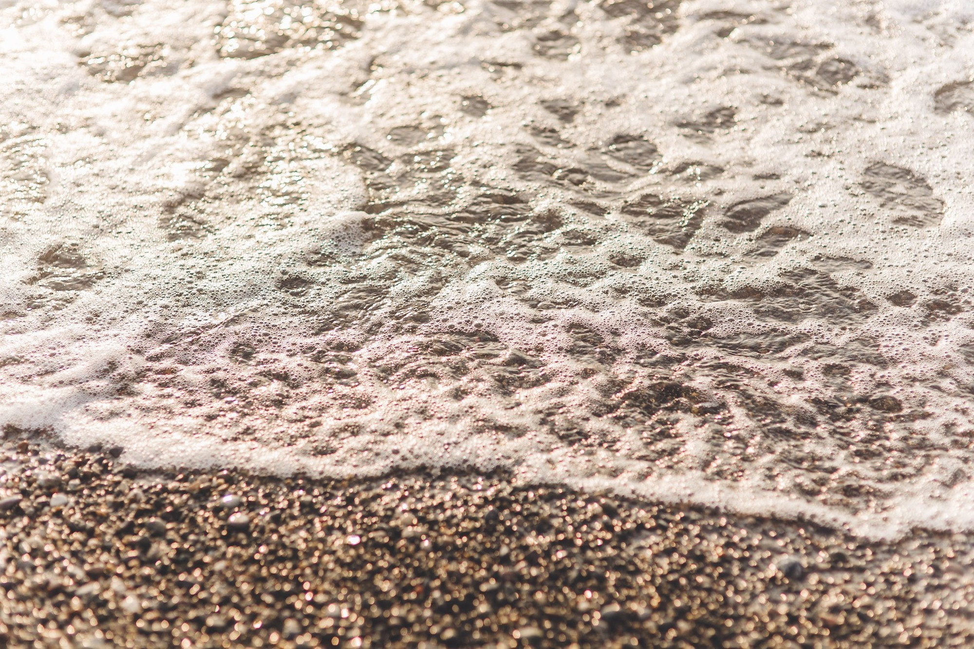 Никита & Женя. Свадебная и семейная фотография в Курске Адамян Давид