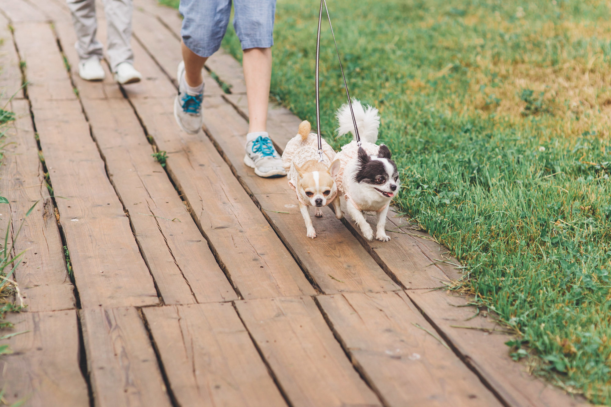 Անտոն և Անաստասիա. Մոսկվա. Հարսանեկան լուսանկարչություն Հայաստանում Ադամյանների ընտանիքի կողմից