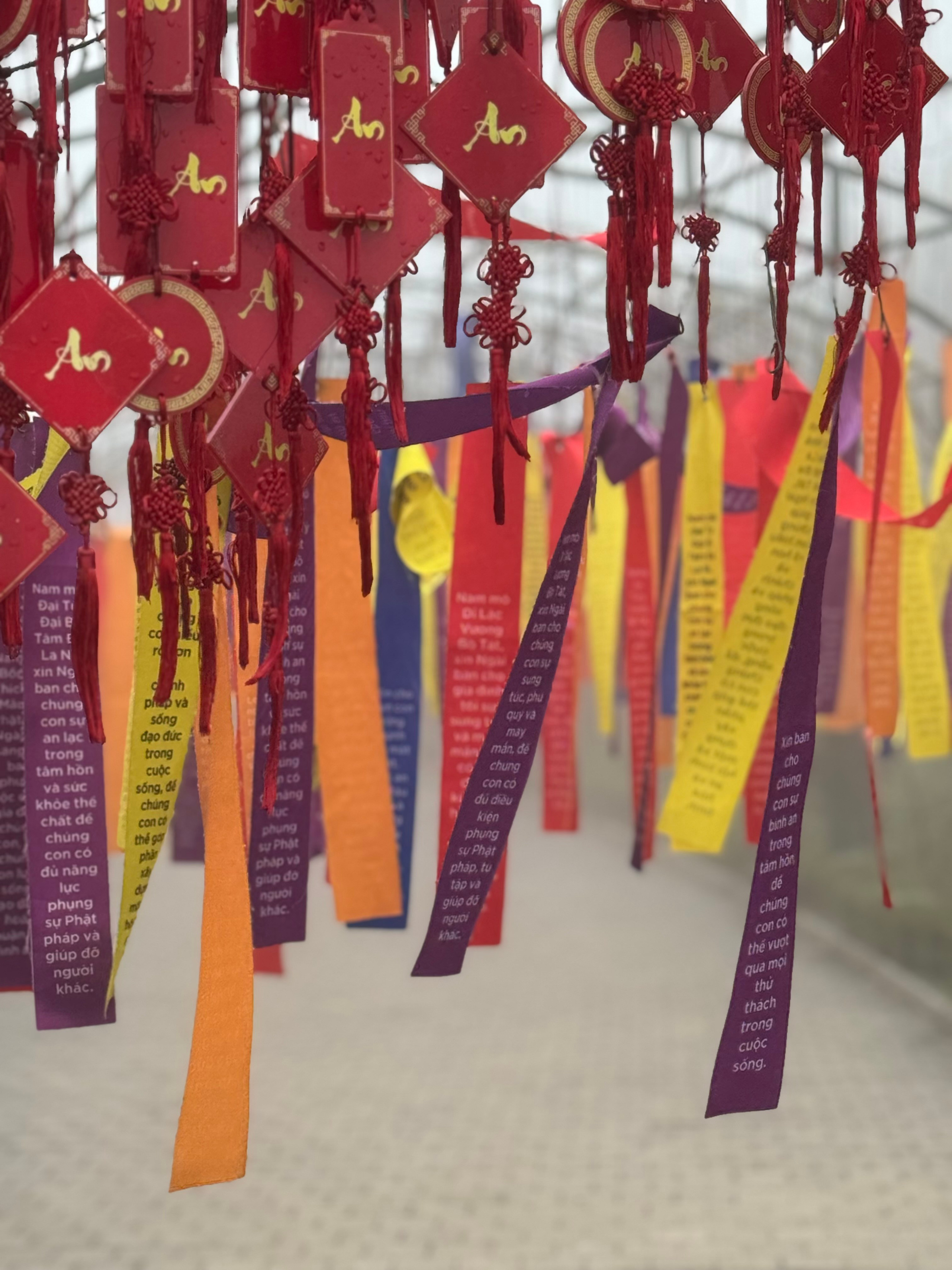 Вьетнам.Сапа 2025. А вот и да!