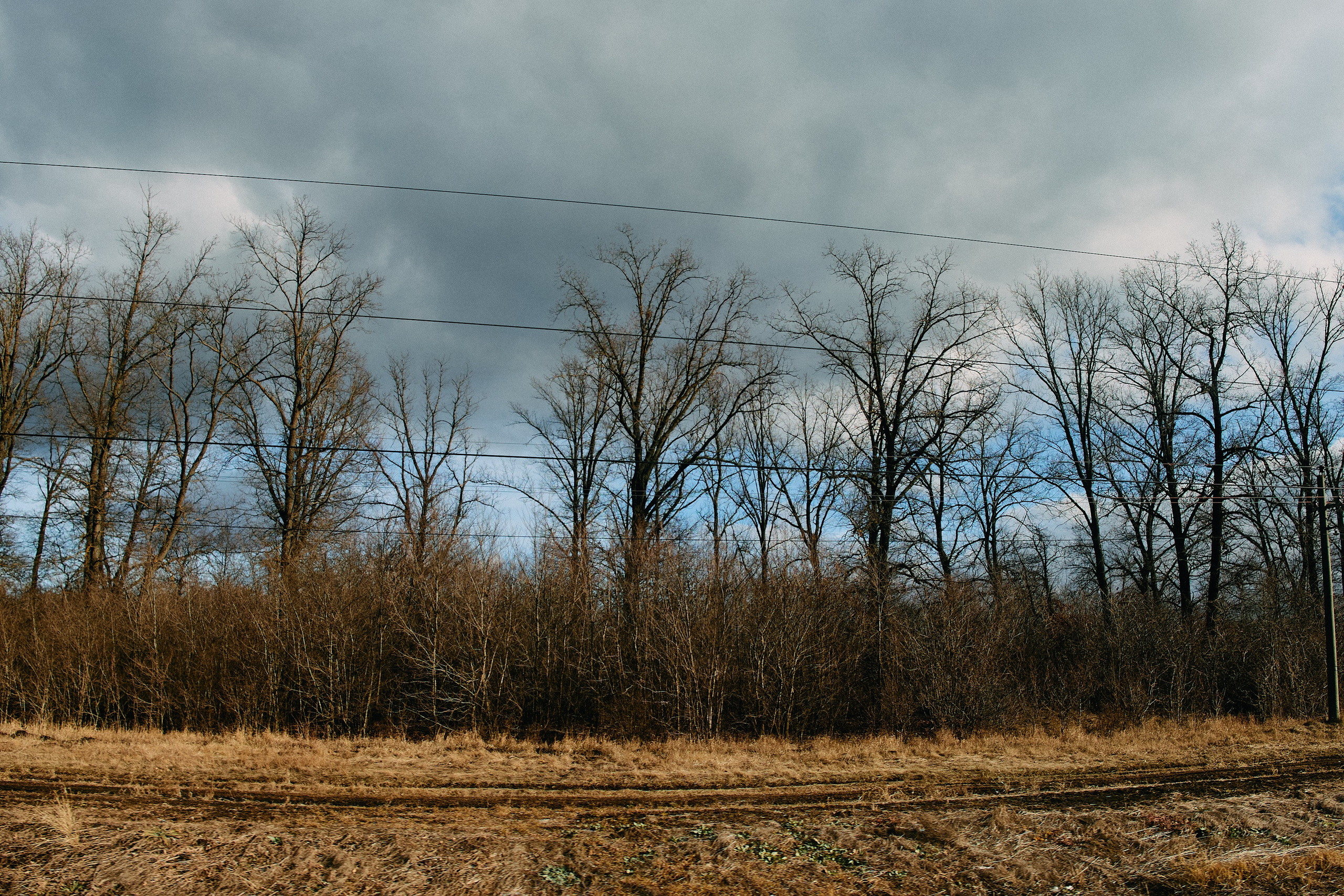 Юг России. Профессиональный Фотограф во Владимире, в Москве и в Суздале — Полина Романычева