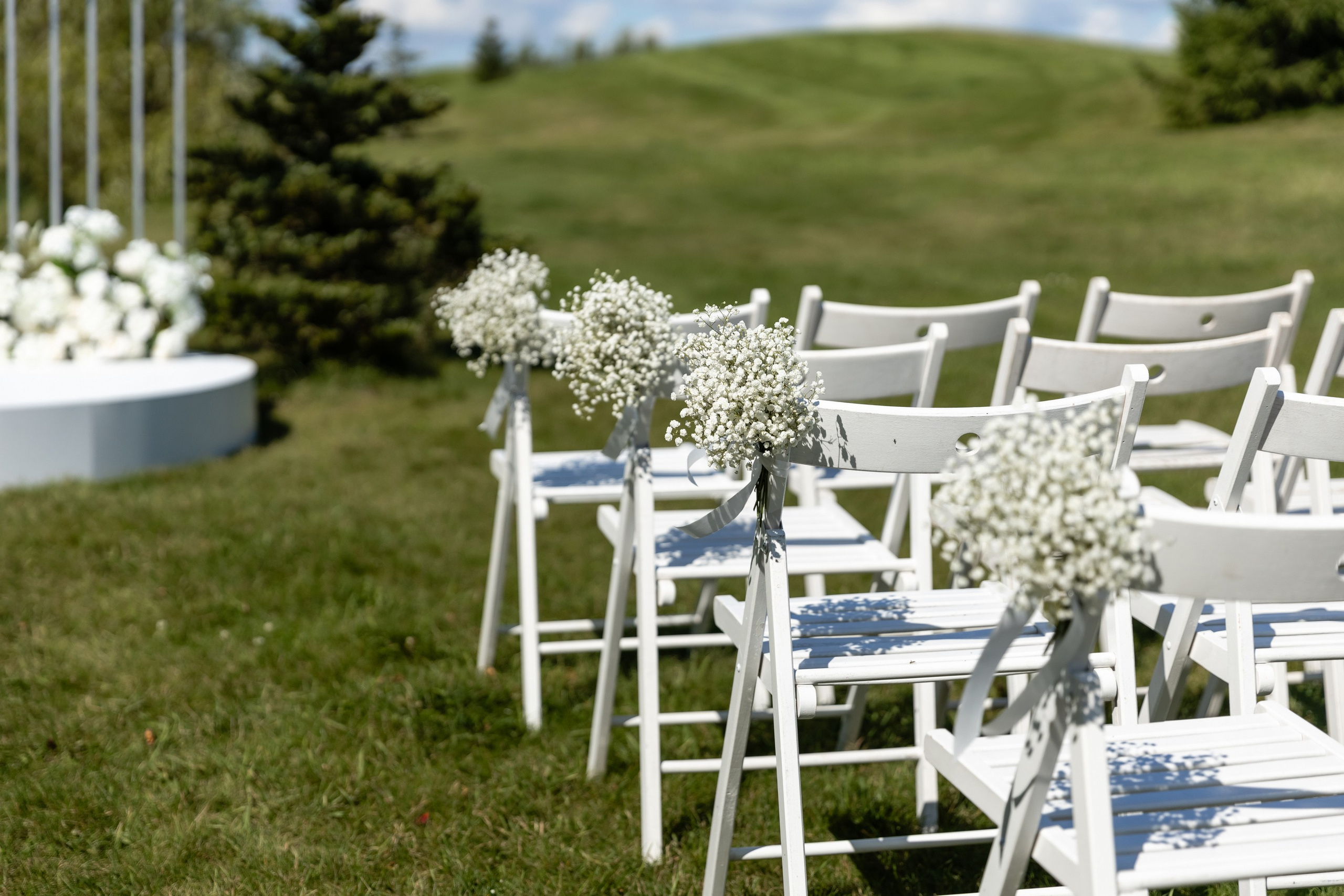 Дмитрий и Виктория. Татьяна Чернышова свадебный фотограф Москва