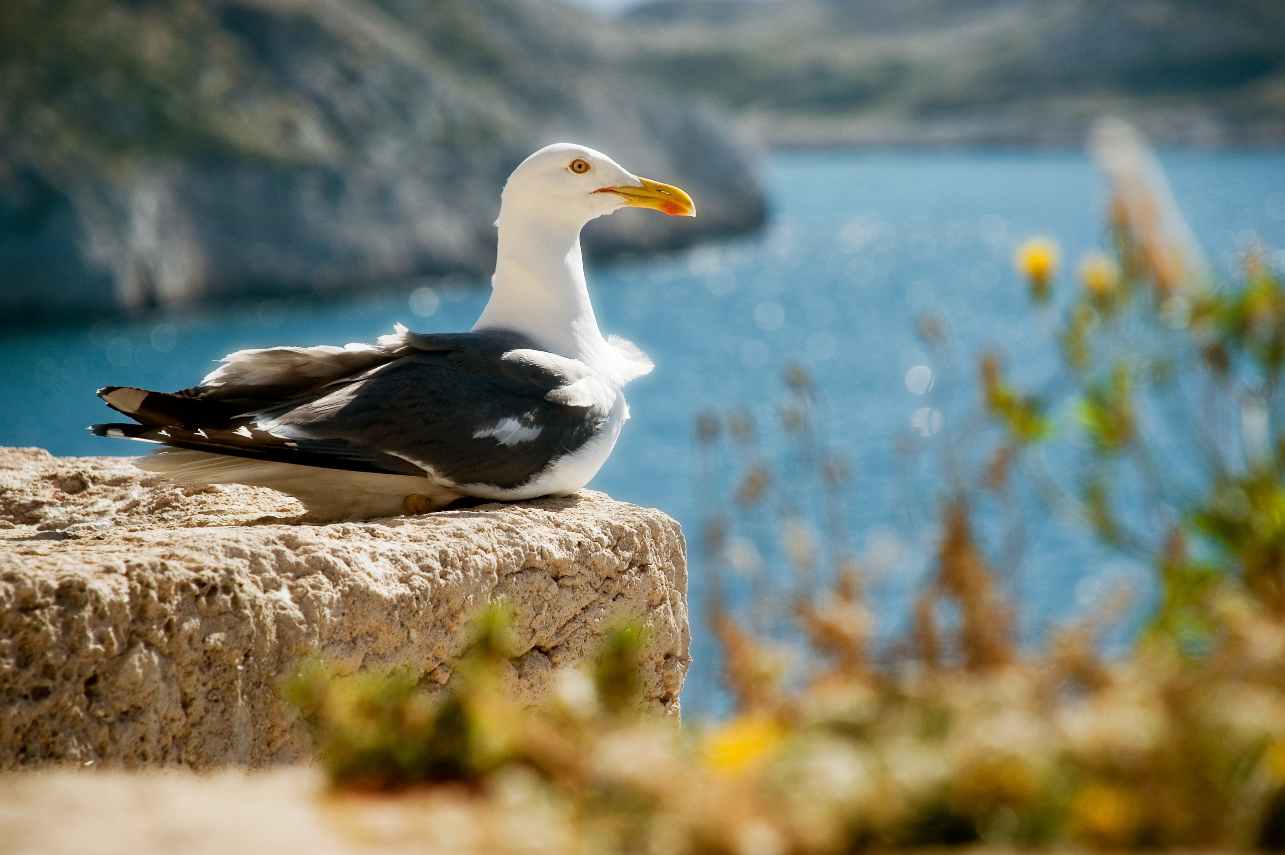 Travel. Фотограф Антон Денисенко: Портрет, Документалистика, Пейзаж. Москва