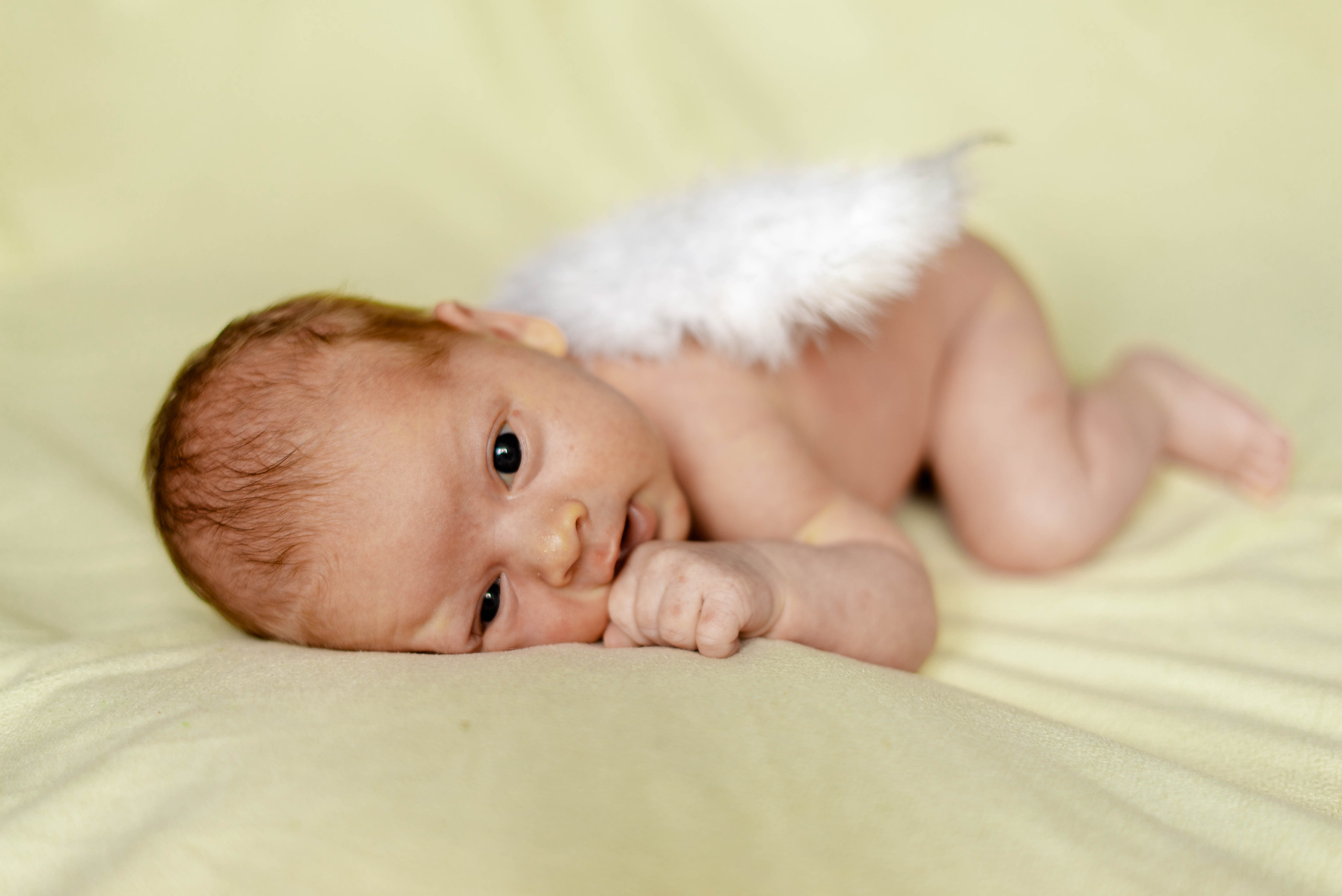 Newborn. Семейный и детский фотограф в Екатеринбурге и НевьянскеТимурова Алина