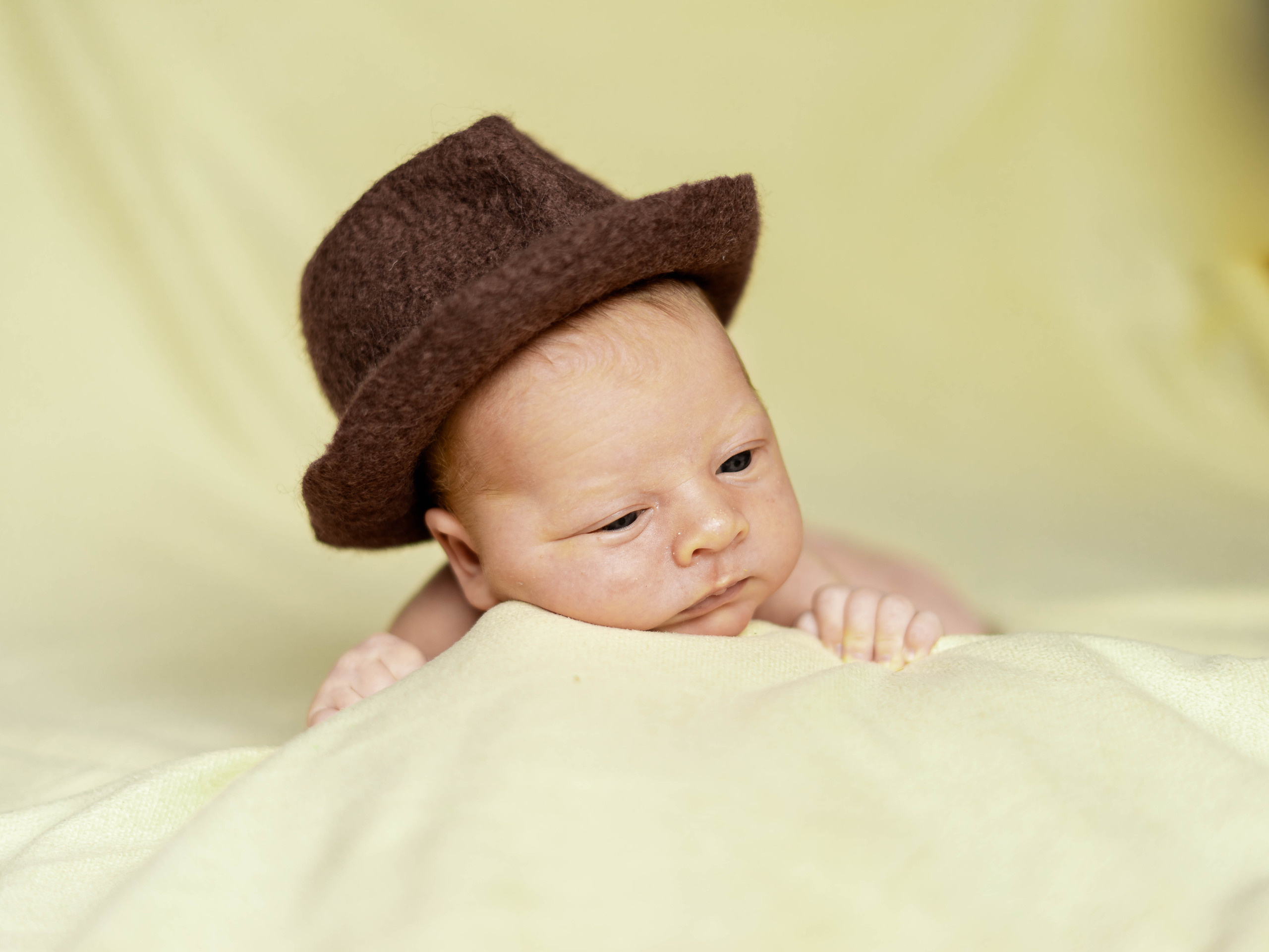 Newborn. Семейный и детский фотограф в Екатеринбурге и НевьянскеТимурова Алина