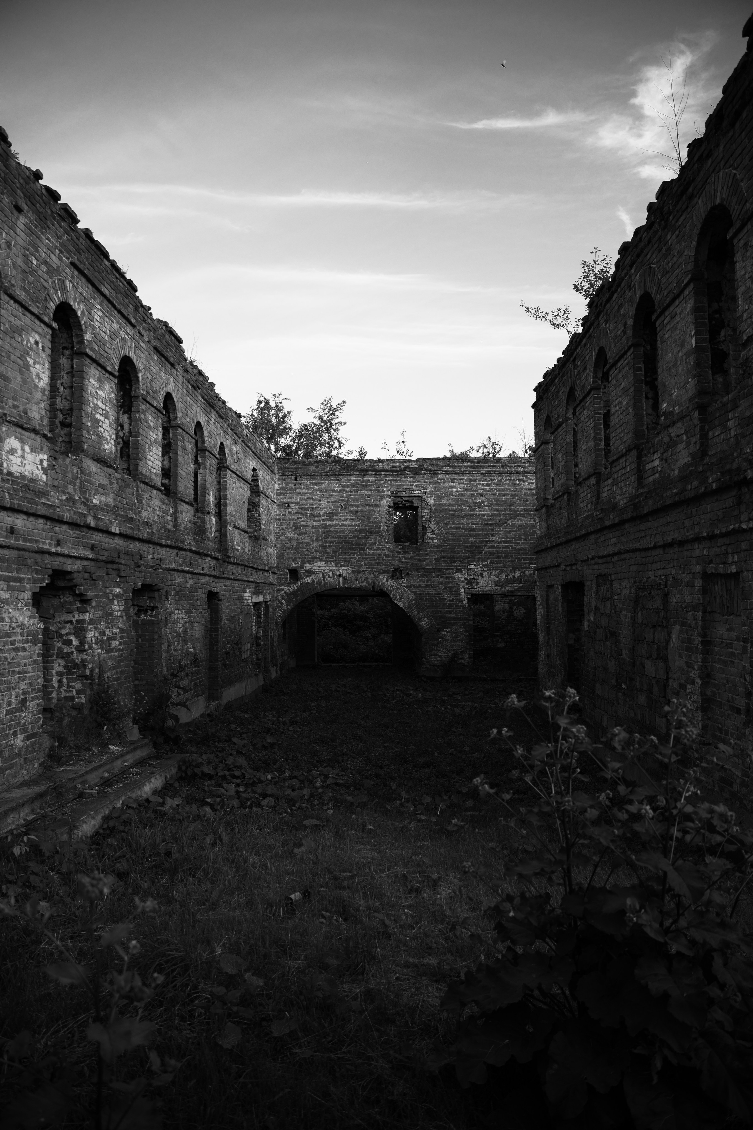 Нижний Тагил — 02.07.2024. Фотограф Вадим Семак