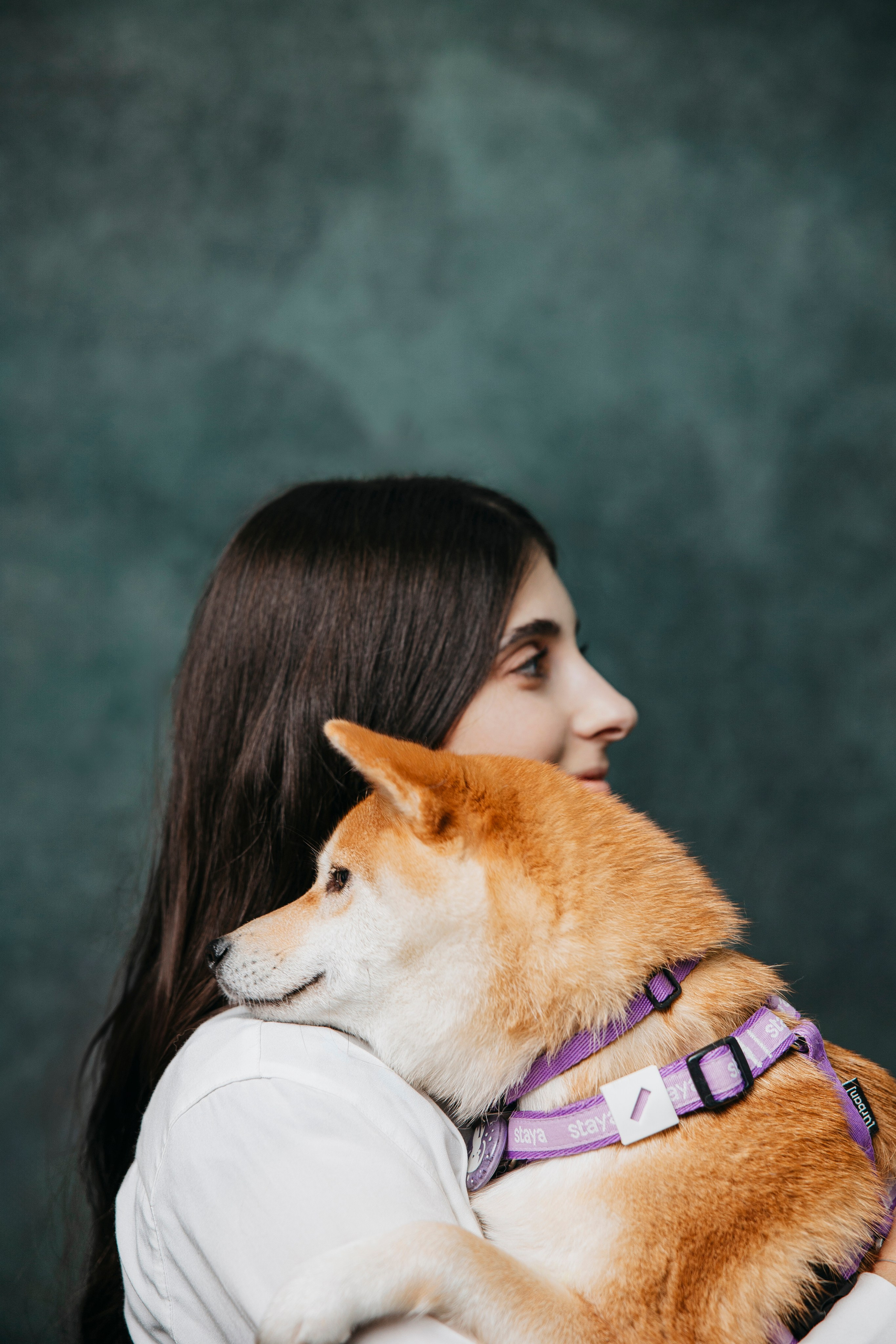 Съемка в студии с собакой. Анастасия Белаш