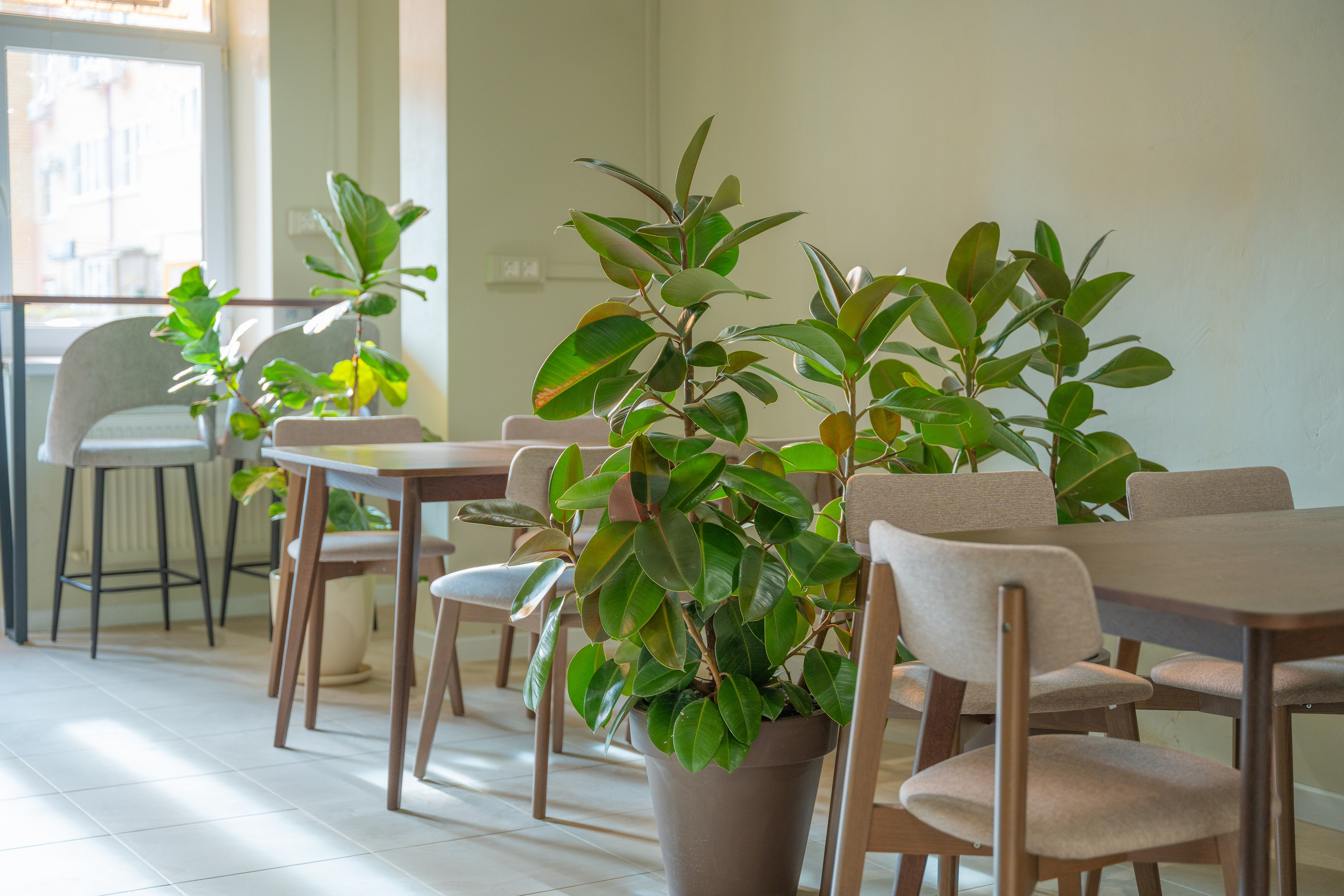 Интерьерная фотосъемка кофейни Love and Coffee — уютное место в Краснодаре Профессиональная фотосъемка интерьера кофейни в Краснодаре — Love. Шедевры для Вас! Фотограф и Видеограф в Краснодаре Пахиев Руслан