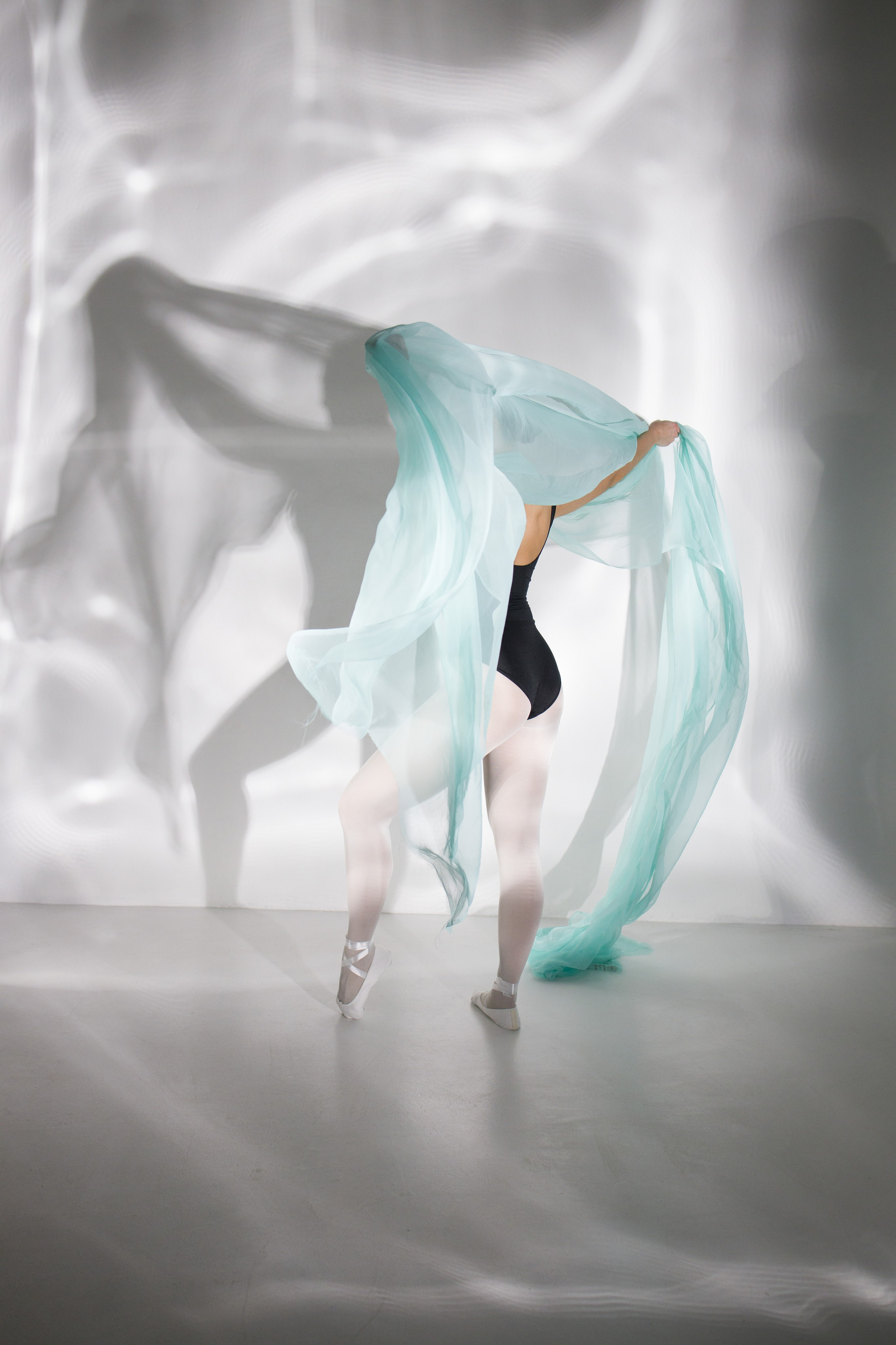 Лилия. Художественная фотография