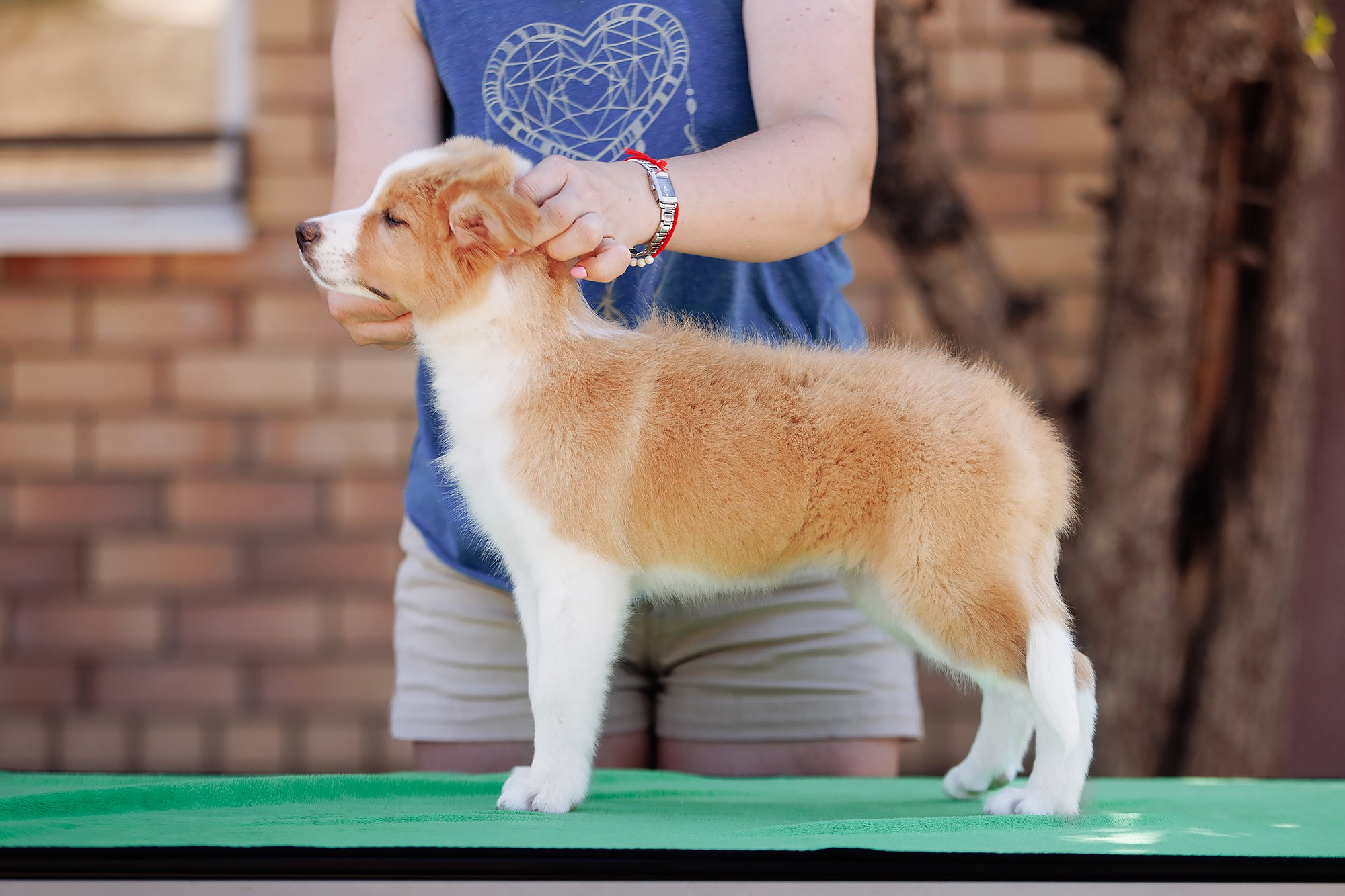 Трава у дома. О нас