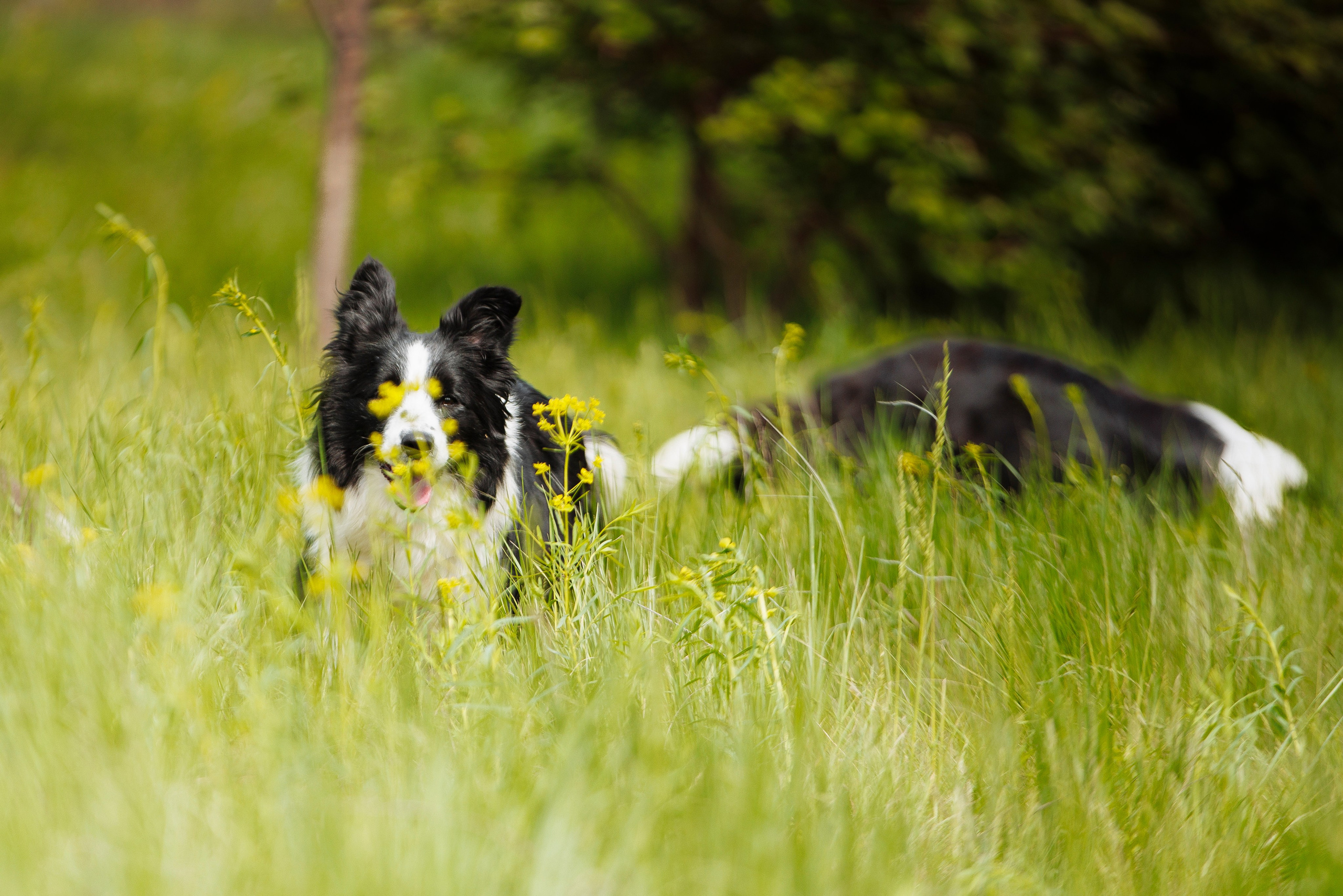 Такой разношерстный Орск 25. О нас