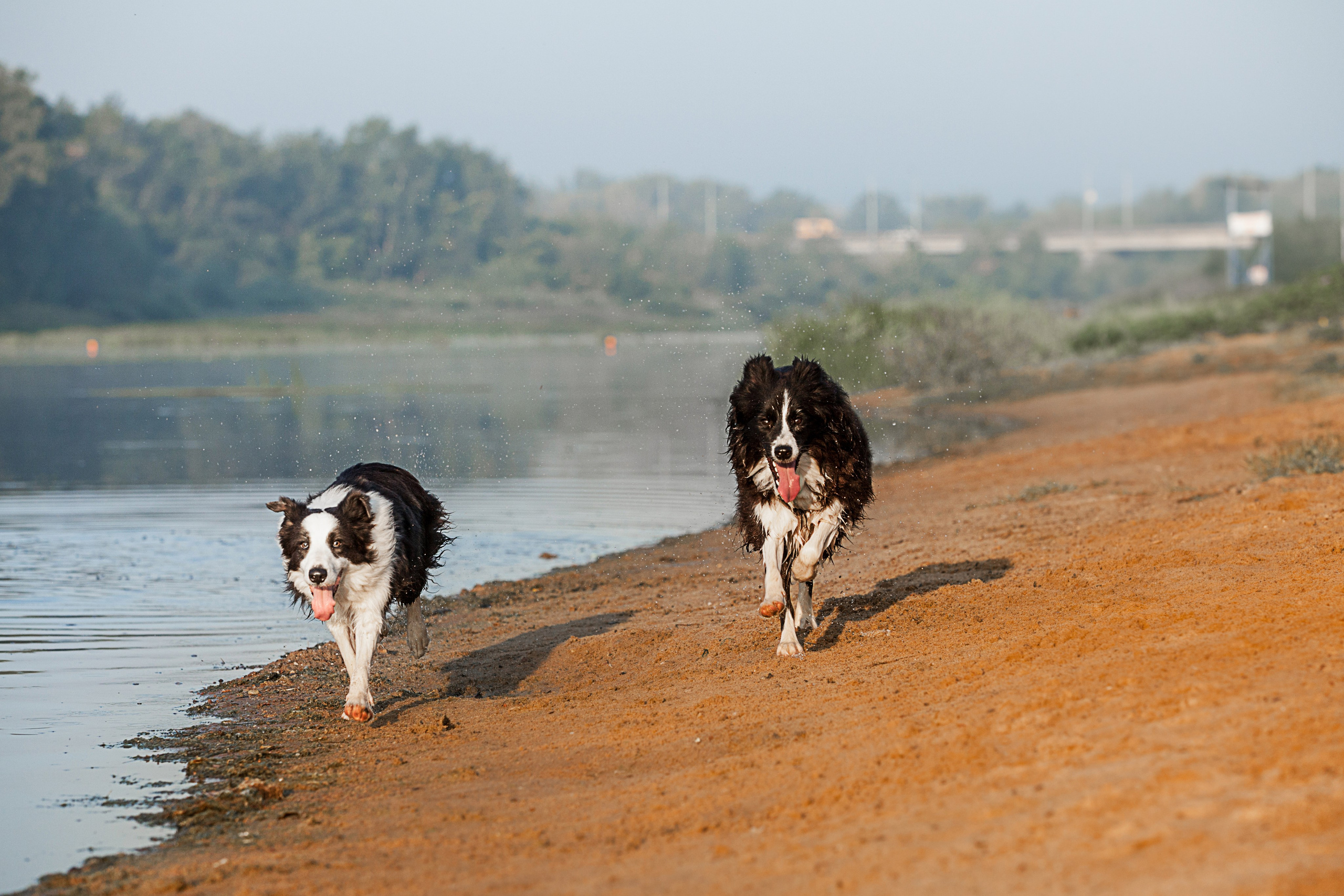 Сочный рассвет, на который решились. О нас
