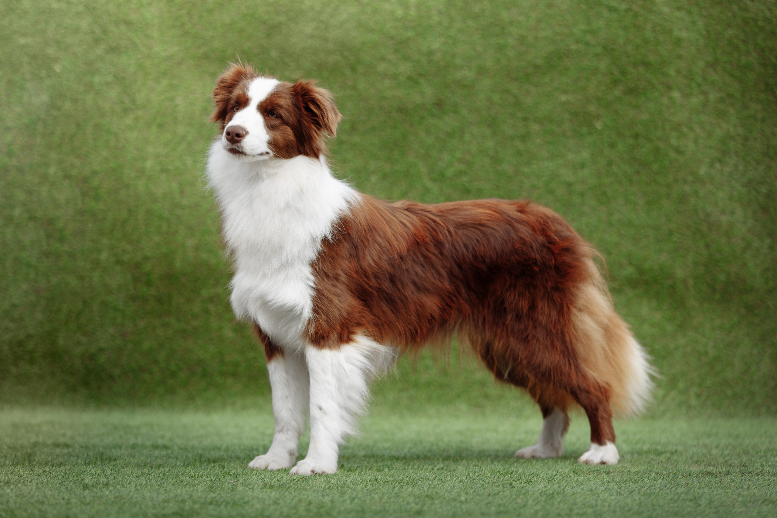 Свое место. О нас