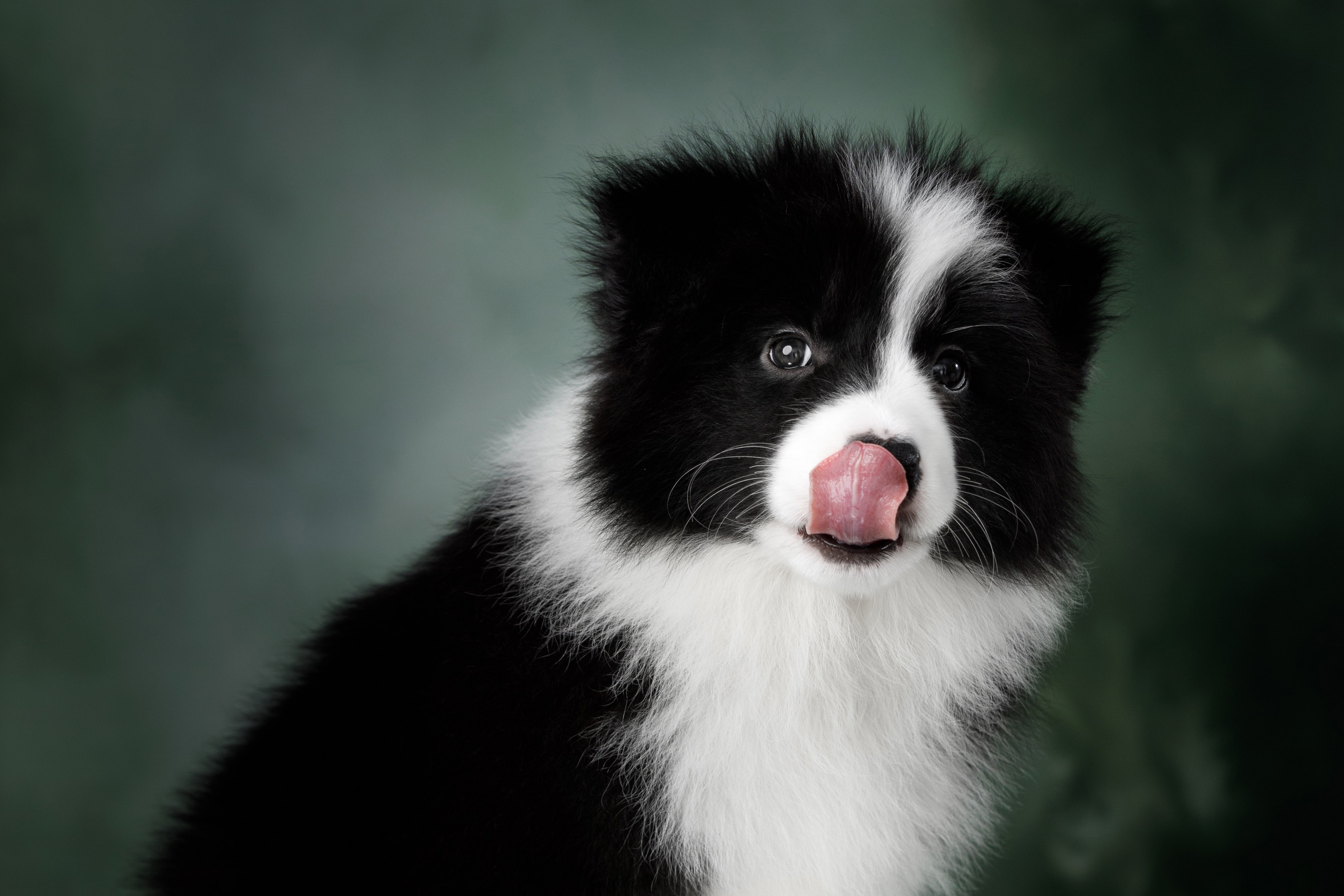 Март. Весна. 22. О нас