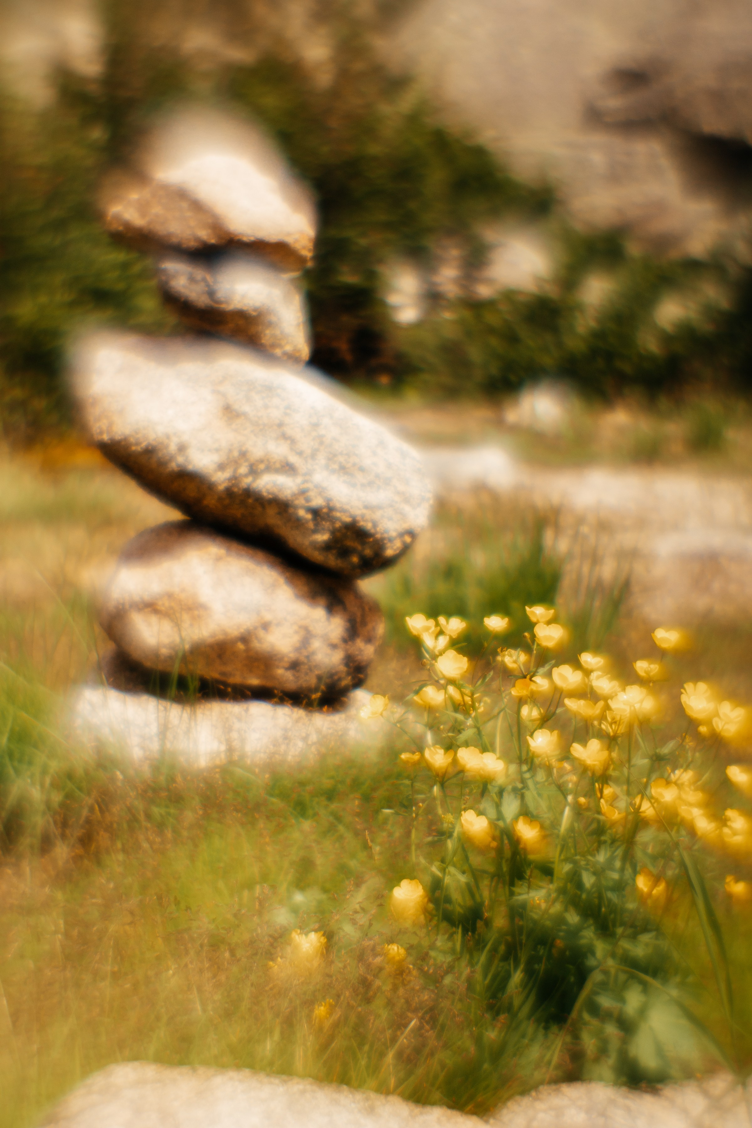 Ловец снов. Фотограф в Красноярске Оксана Корчагина