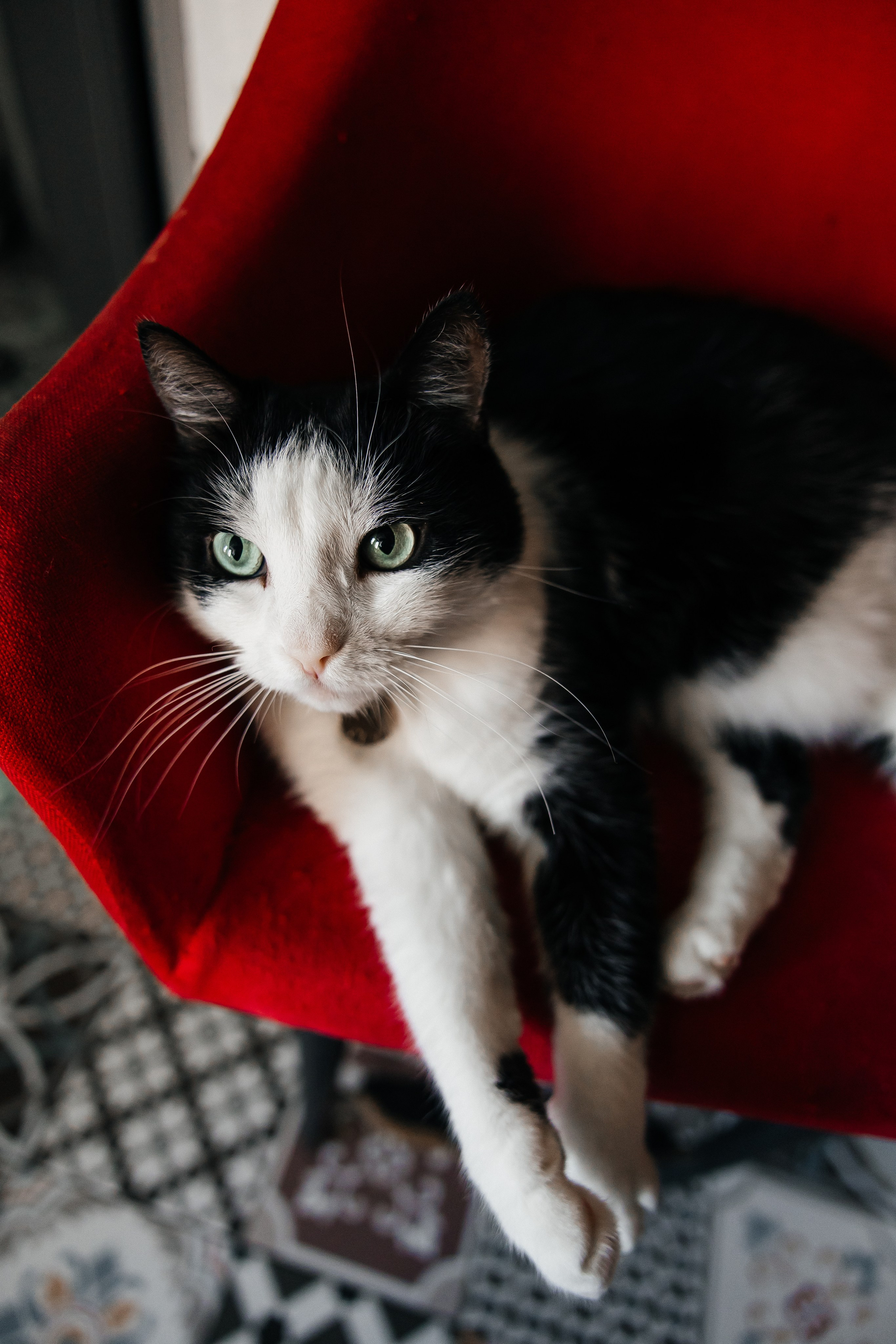 Евгений и Алена. Свадебный и семейный фотограф в Ростове-на-Дону