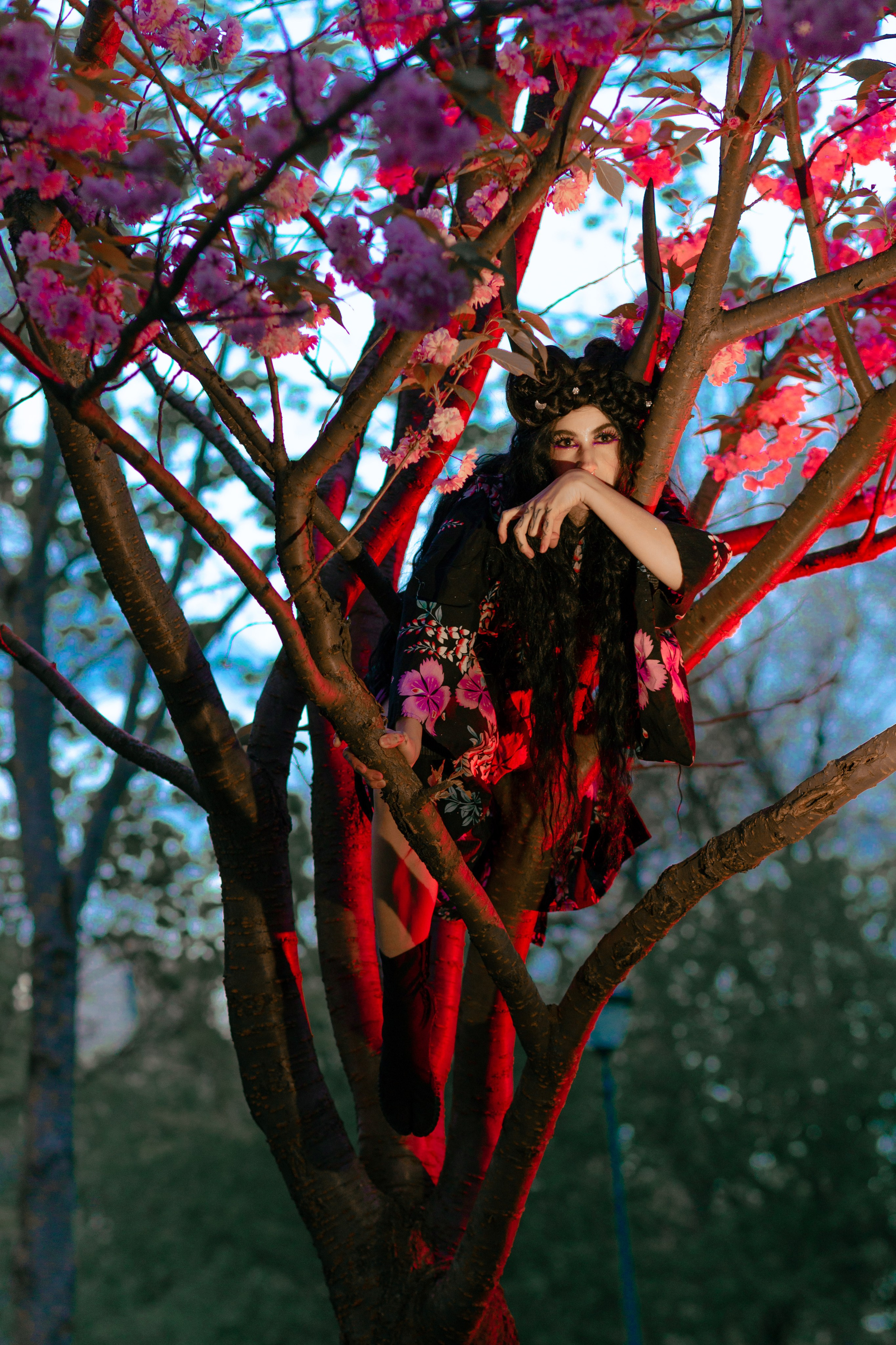 Кирисакура- соцветия вишни в тумане