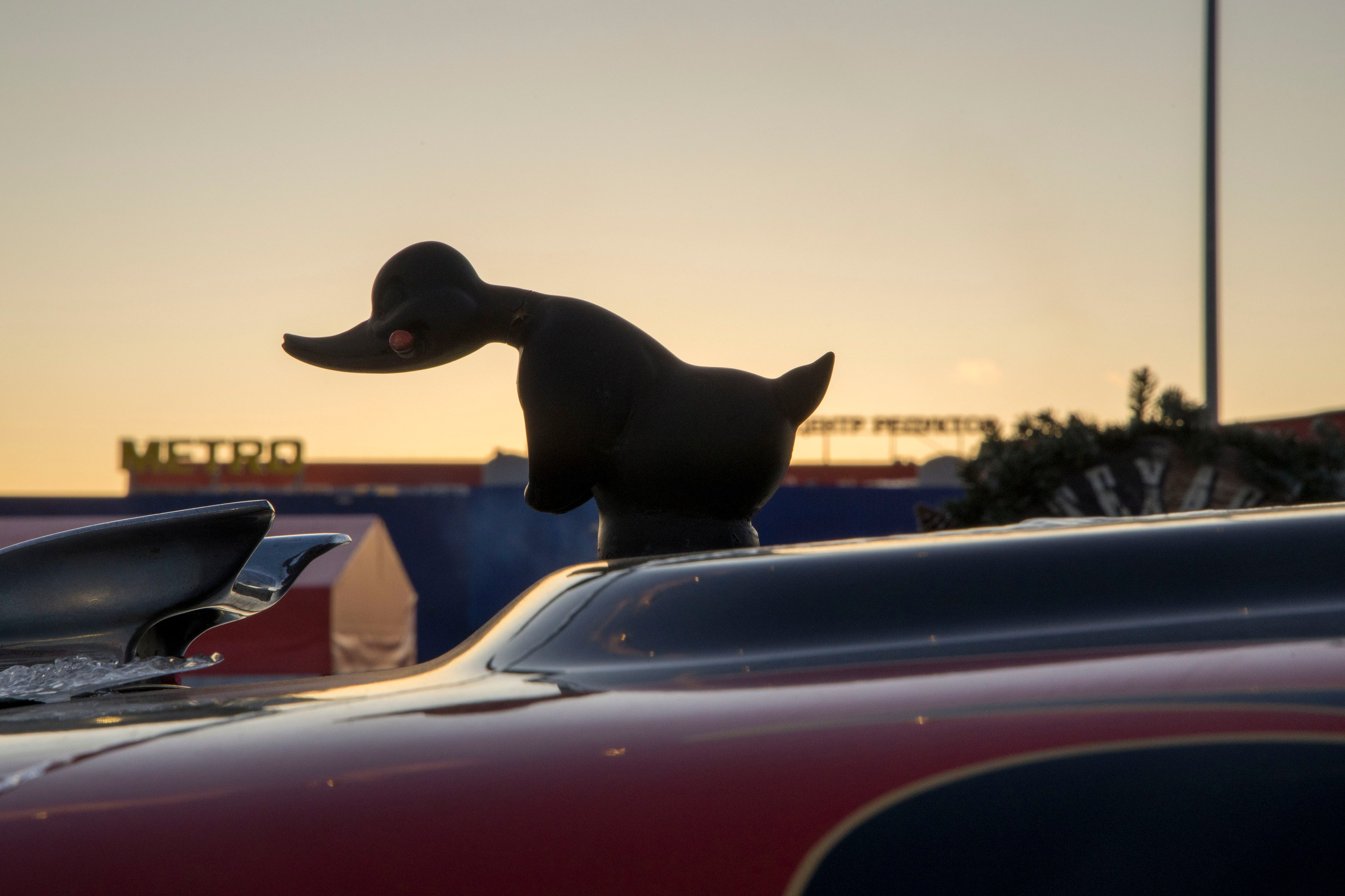 Разности. Портретный и семейный фотограф Санкт-Петербург