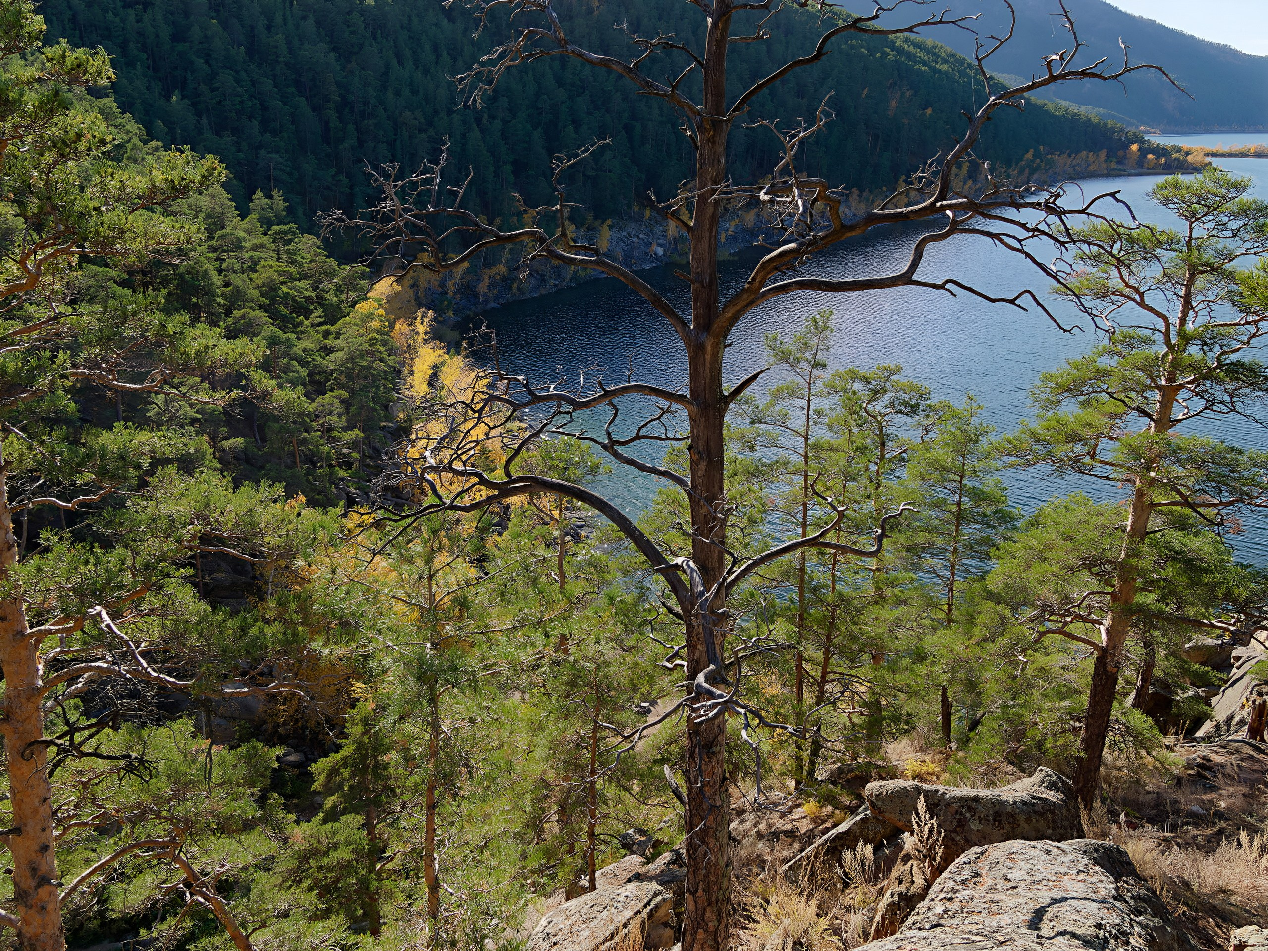 Боровое 2024 (из архива). Избранные фотографии