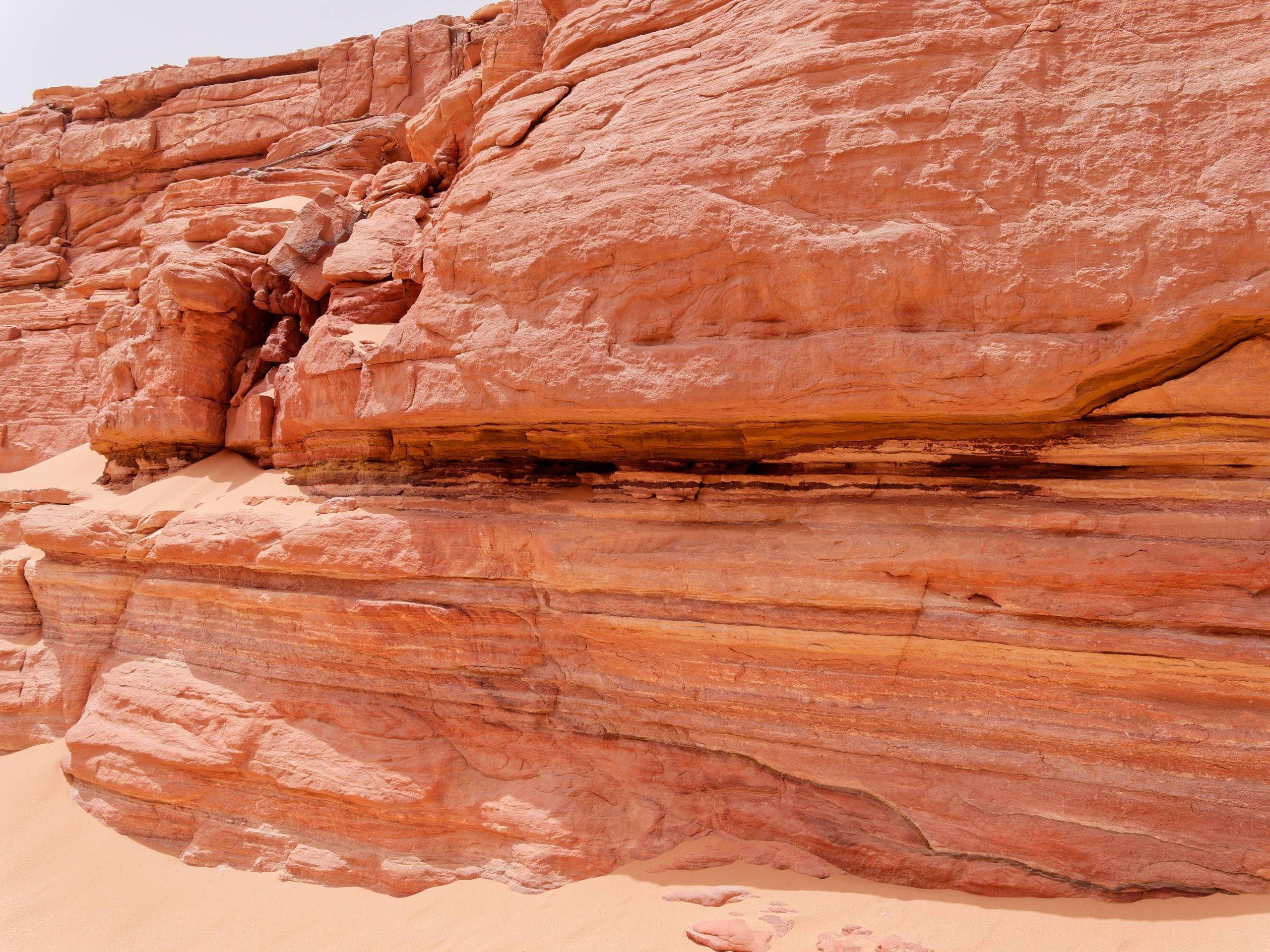 Шарм-эль-Шейх 2022, сафари. Избранные фотографии