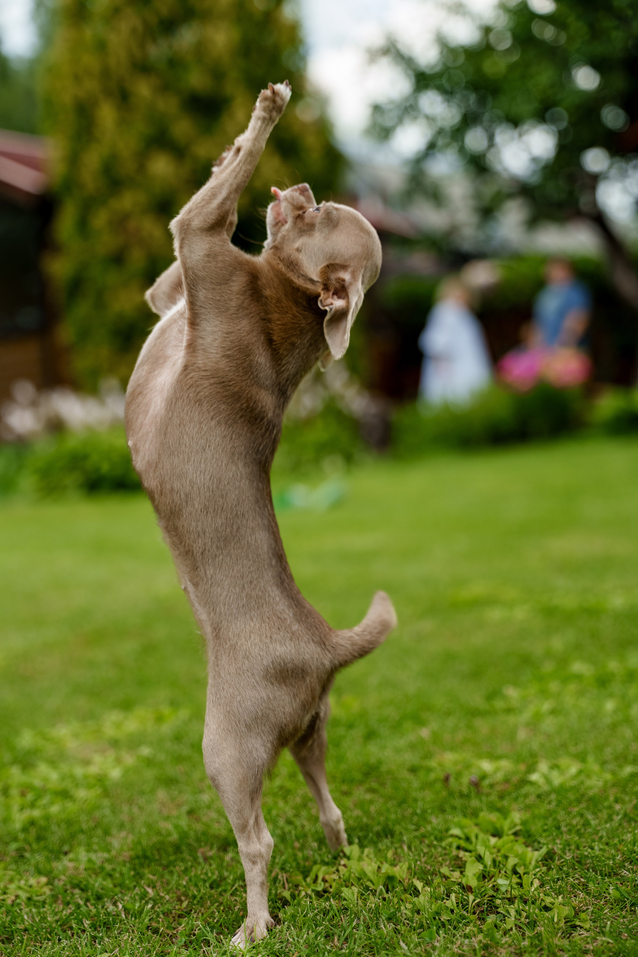 Ева 1 год. Станислав Тюрин Фотограф Москва. Индивидуальные и семейные фотосессии;