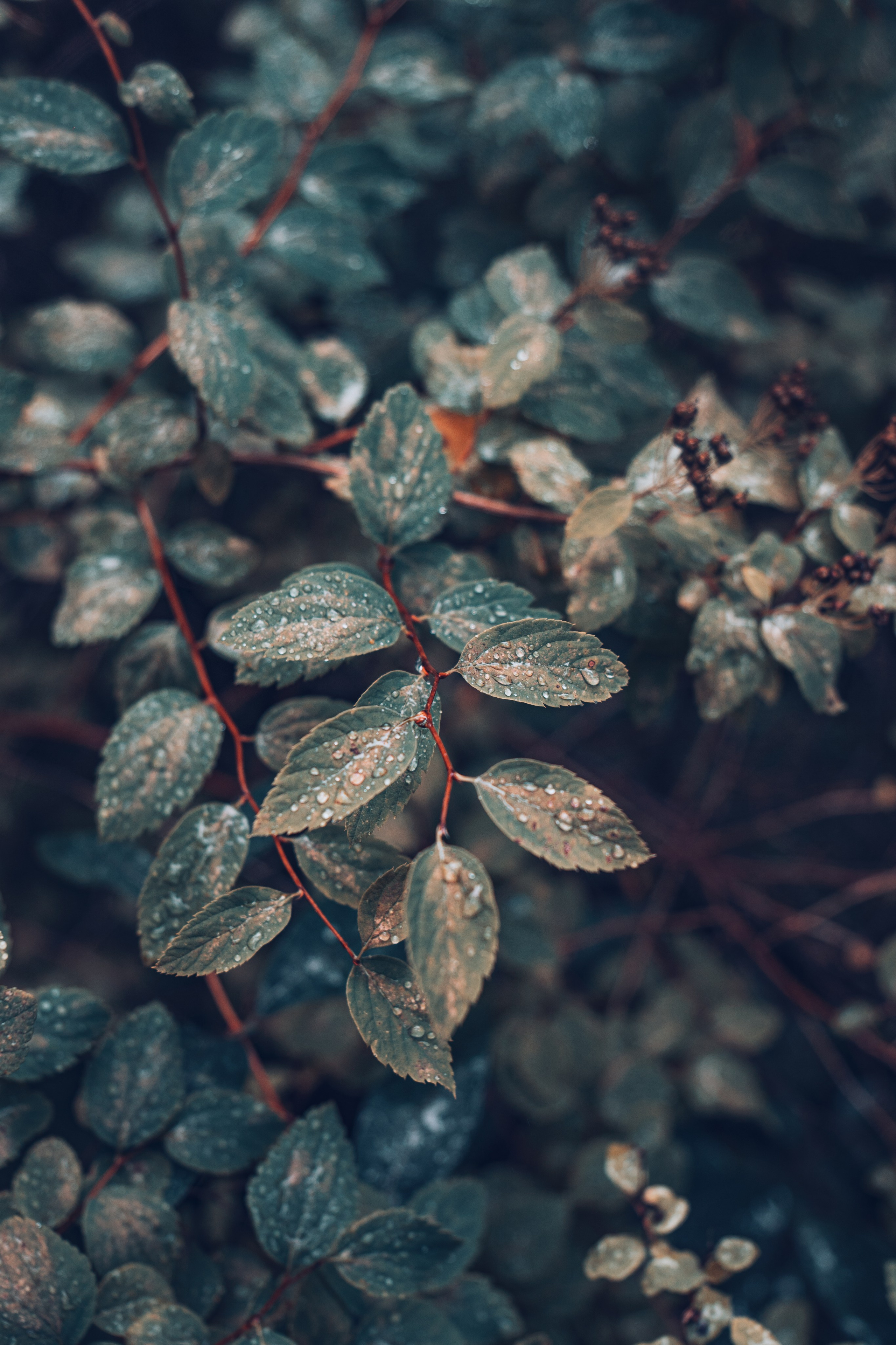 Алтай. Gusarov Travel Photography