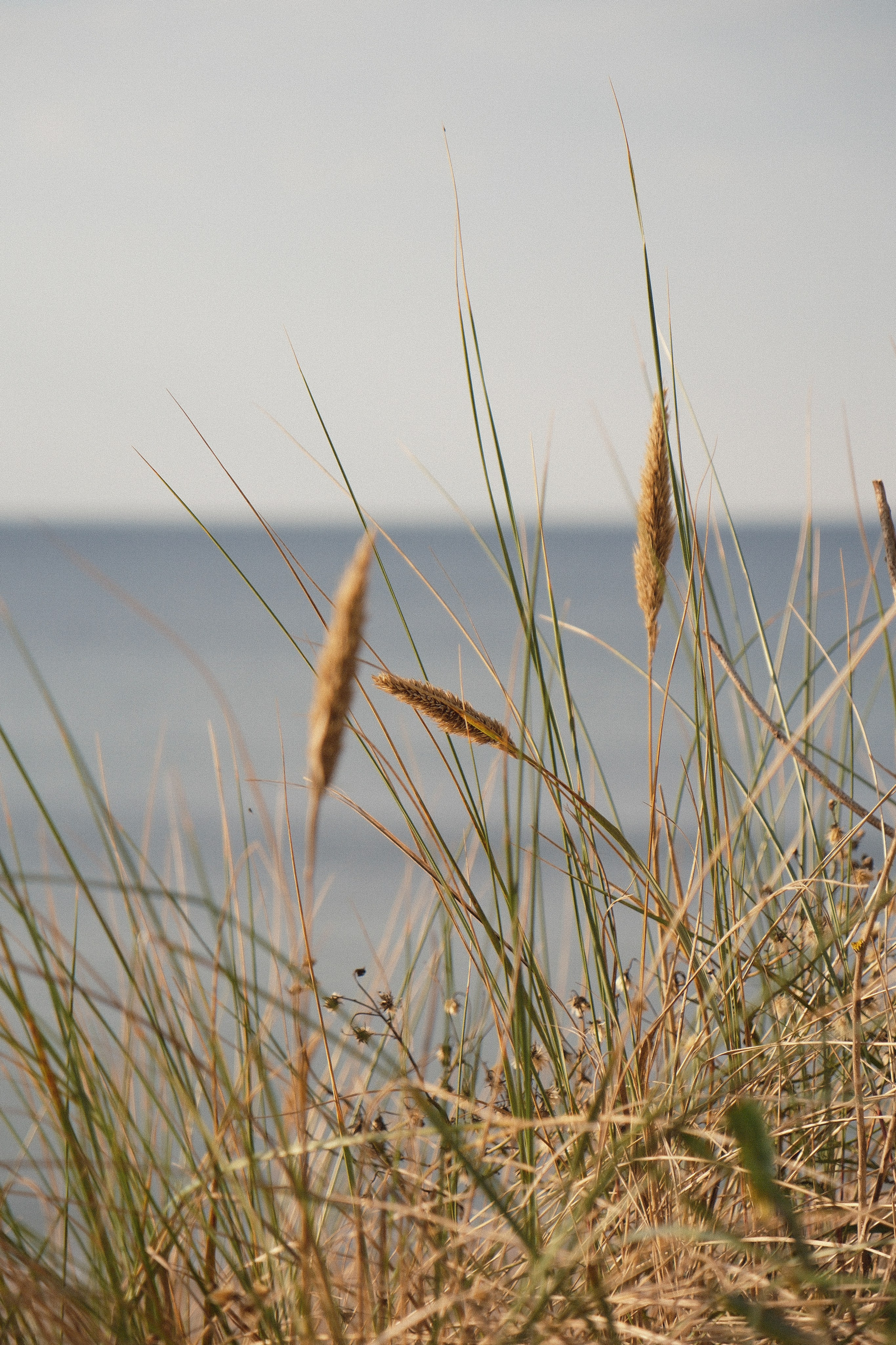 Koenigsberg. M. Neizvestniy — уличная и спортивная фотография