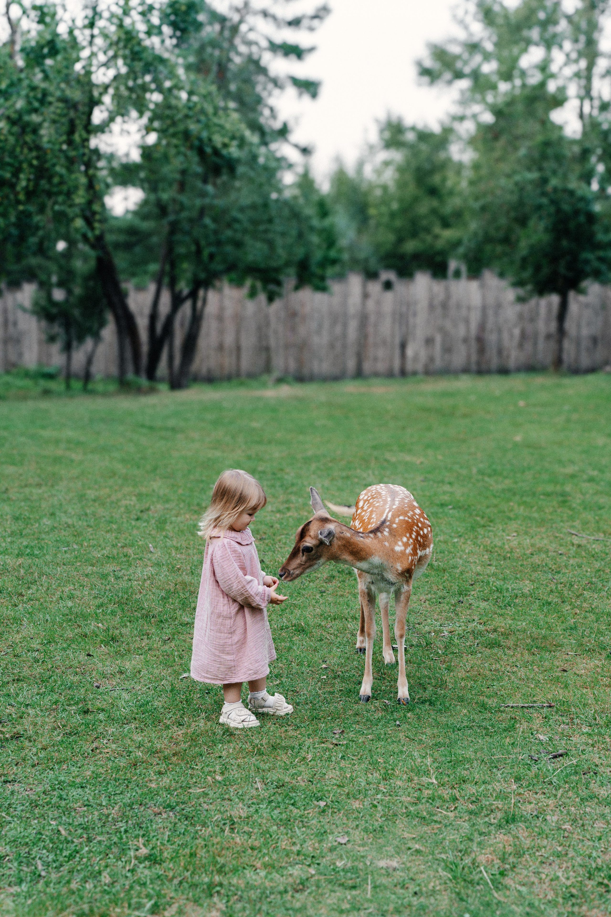 Диприз — в мире диких животных. Ваш семейный фотограф в Минске — Вика Трегубова
