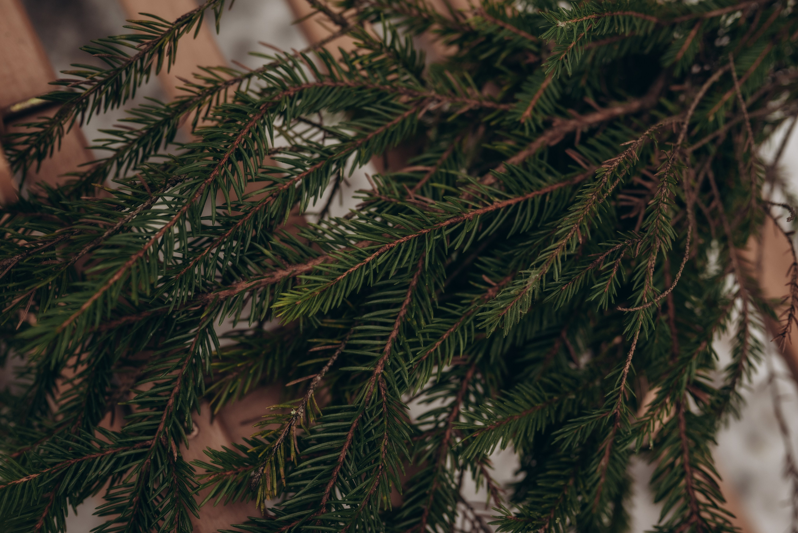 Маргарита и Родион. Семейный фотограф в Москве Дарья Пузикова