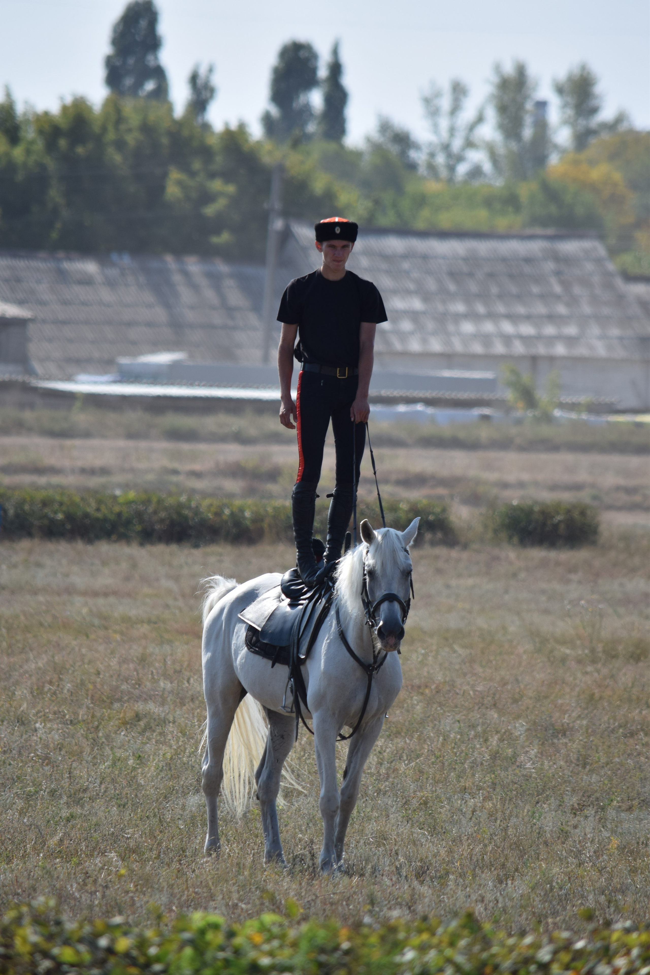 Кубок Губернатора, ипподром Саратов, 2019 г. Конный фотограф в Саратове Юлия Иванова