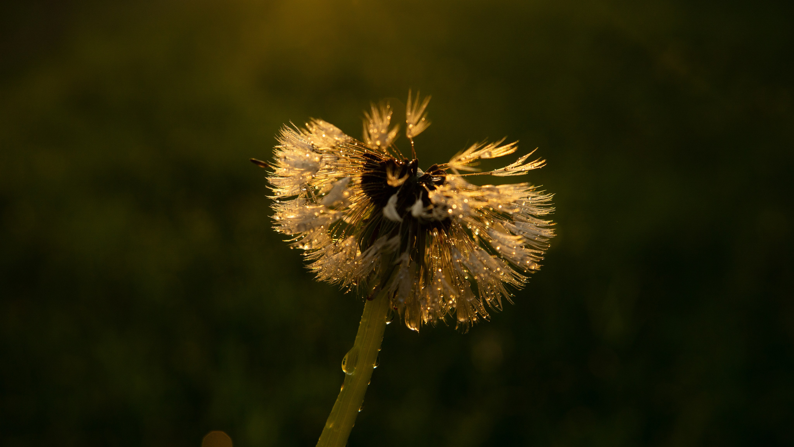 После дождя. Фотограф в Москве Юлия Першина