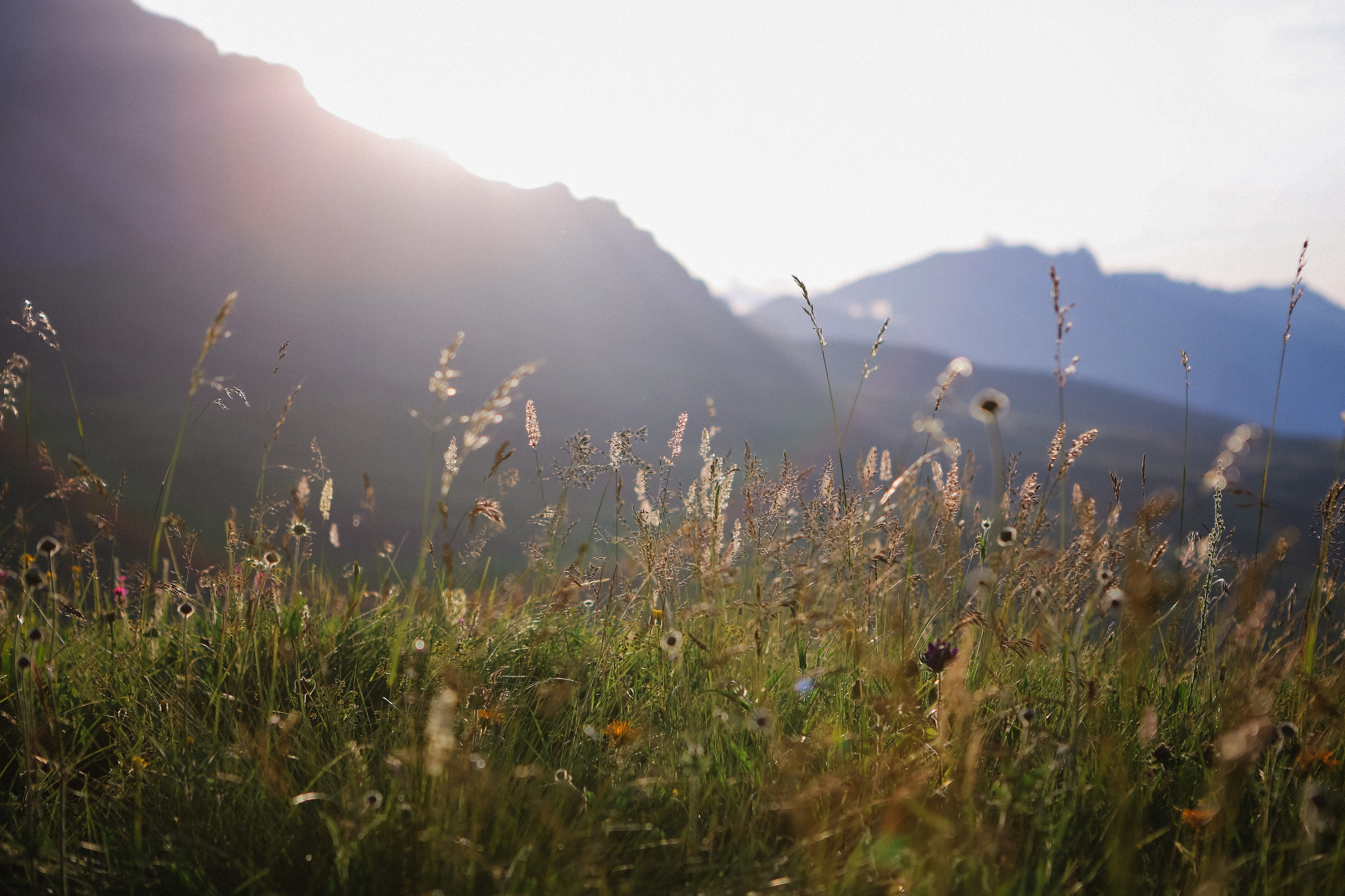 Пресс-тур для Неизвестного Кавказа. Свадебный и портретный фотограф в Пятигорске, КМВ — Власова Юля