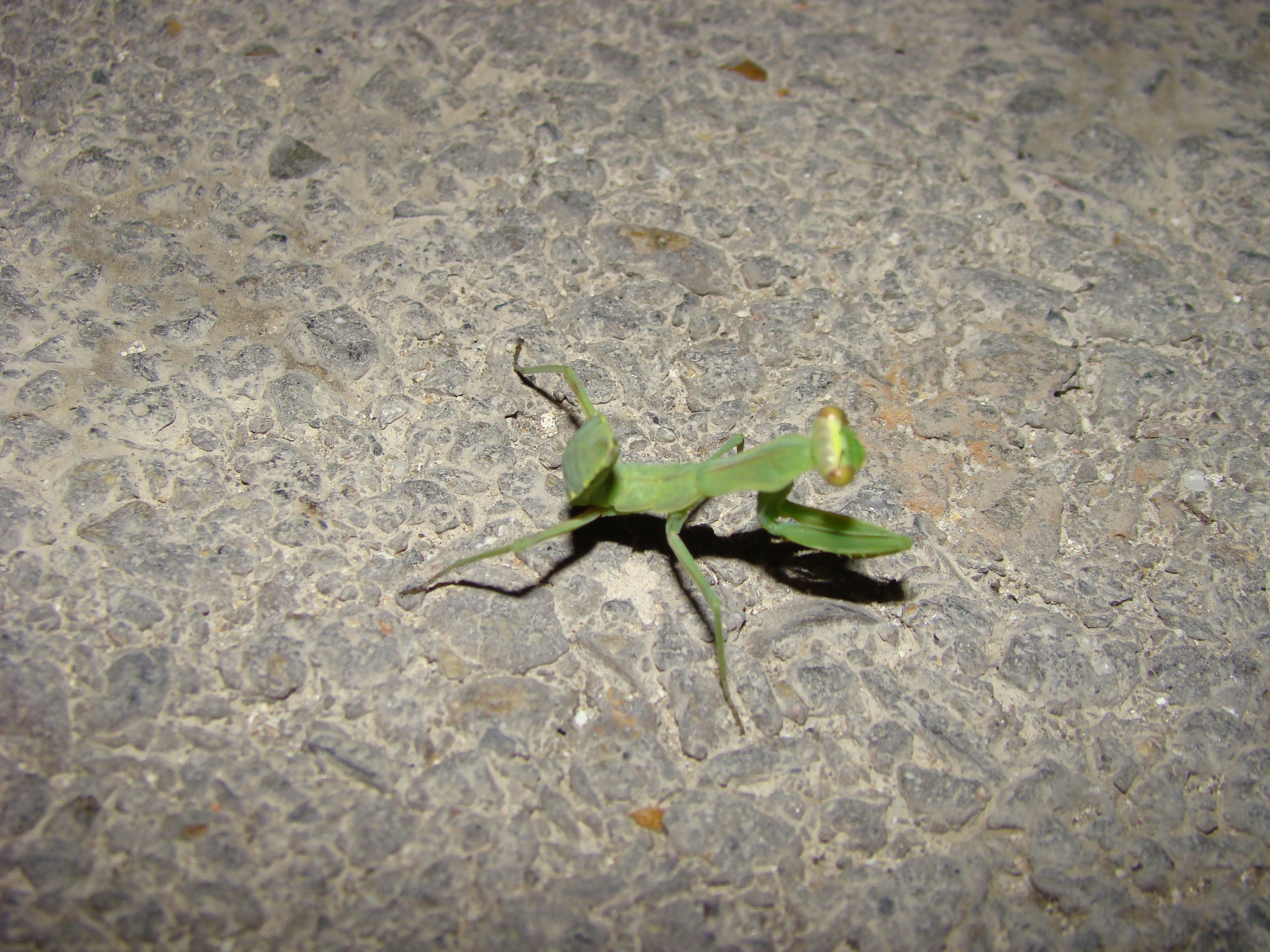 Кабардинка (фото Зевиных) 25.06-24.07.2008. Семейный, Свадебный фотограф СПБ Питер— Романова Екатерина