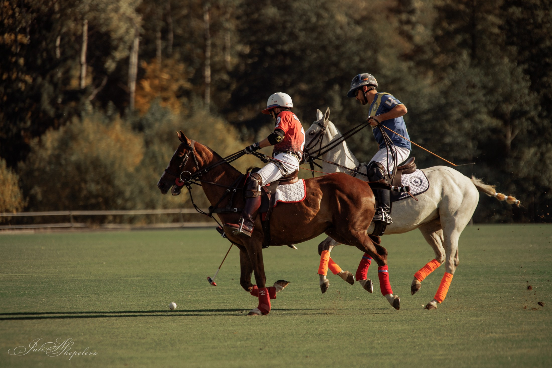 Осенний кубок по конному поло. Детская Конная фотография в Москве Юлия Шепелева