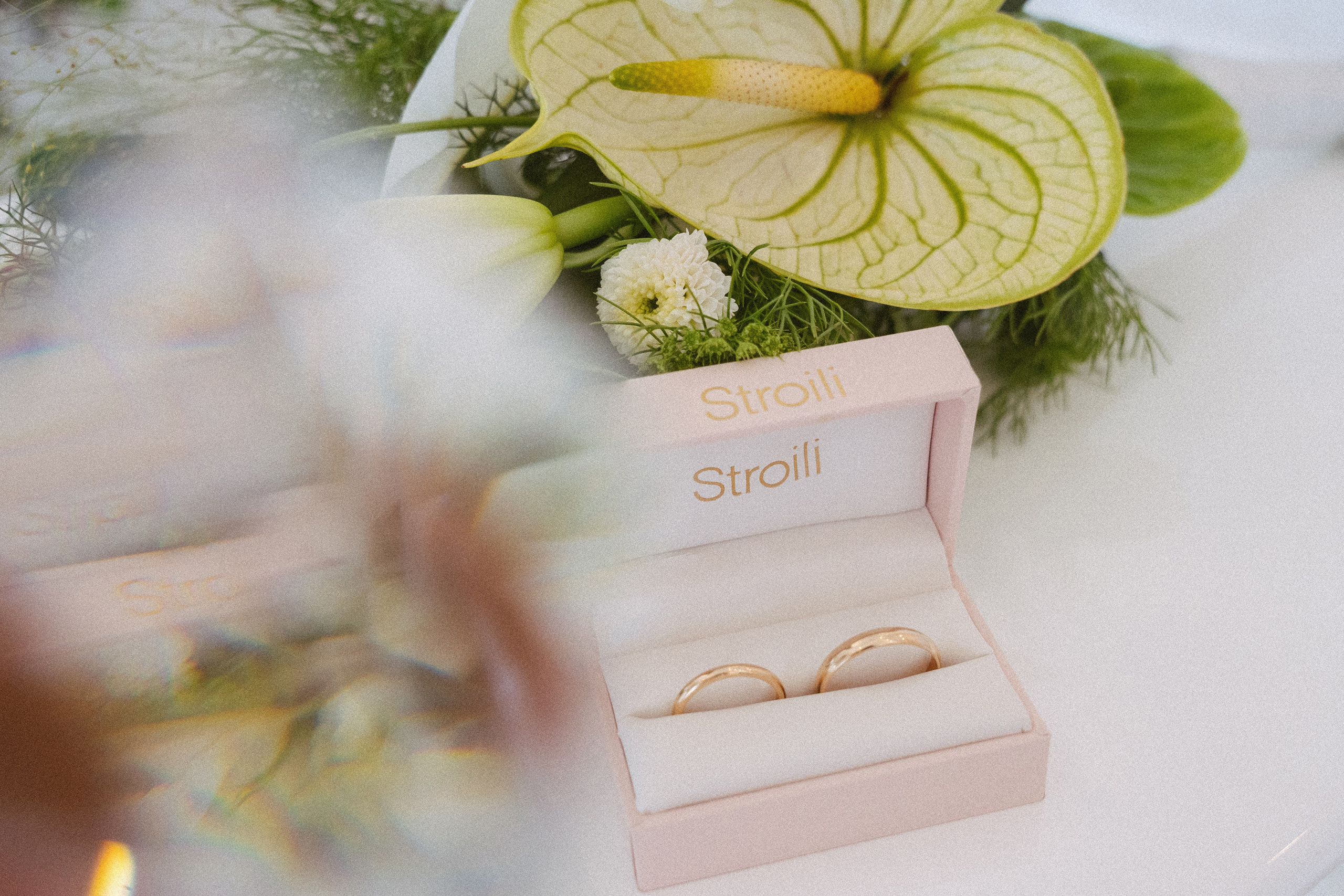 В&B Прогулка + ЗАГС. Свадебный, репортажный, семейный фотограф Елена Брюхова