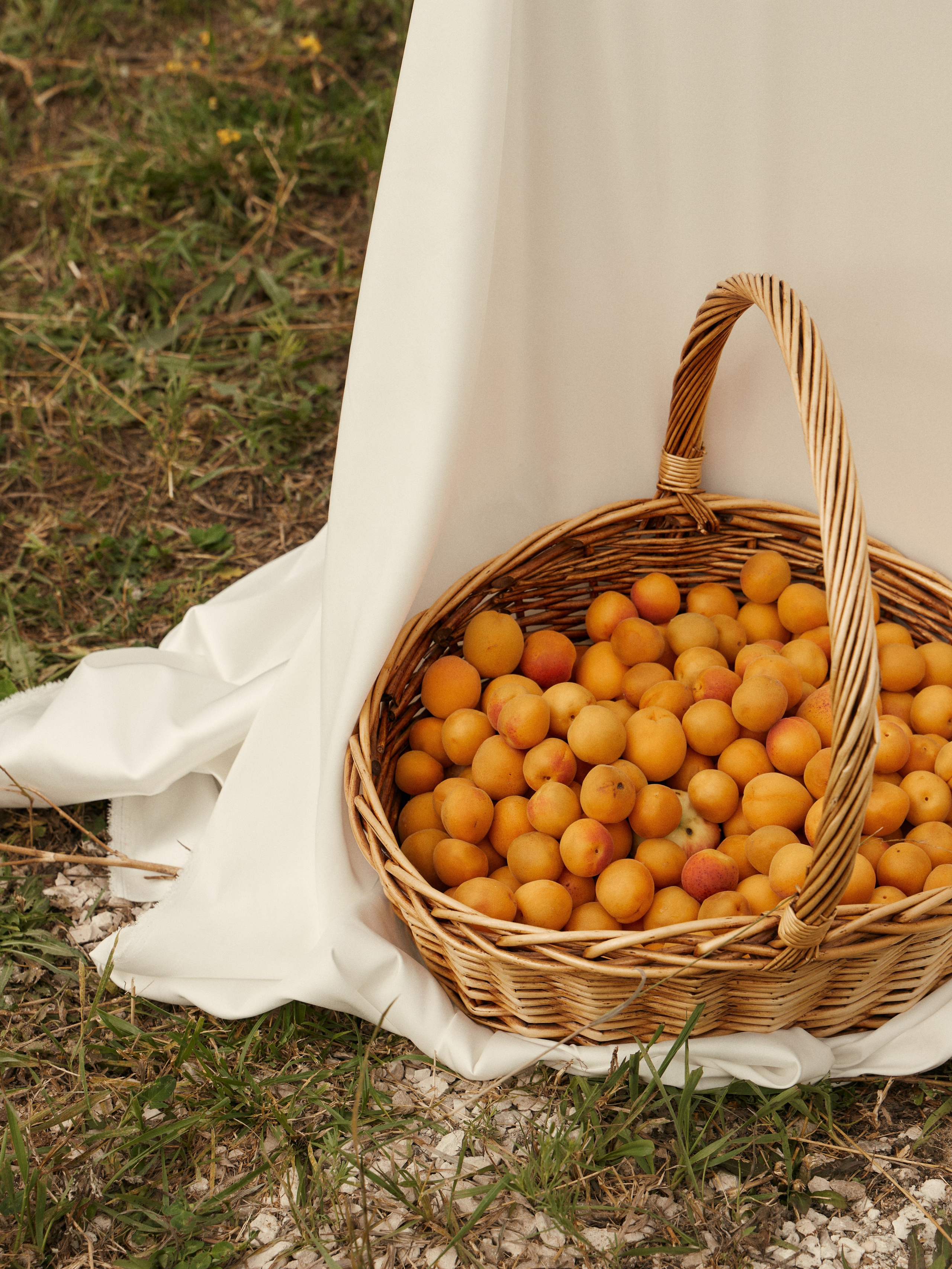 Together for the dream. Свадебный и индивидуальный фотограф в Тольятти Благонадеждина Варвара