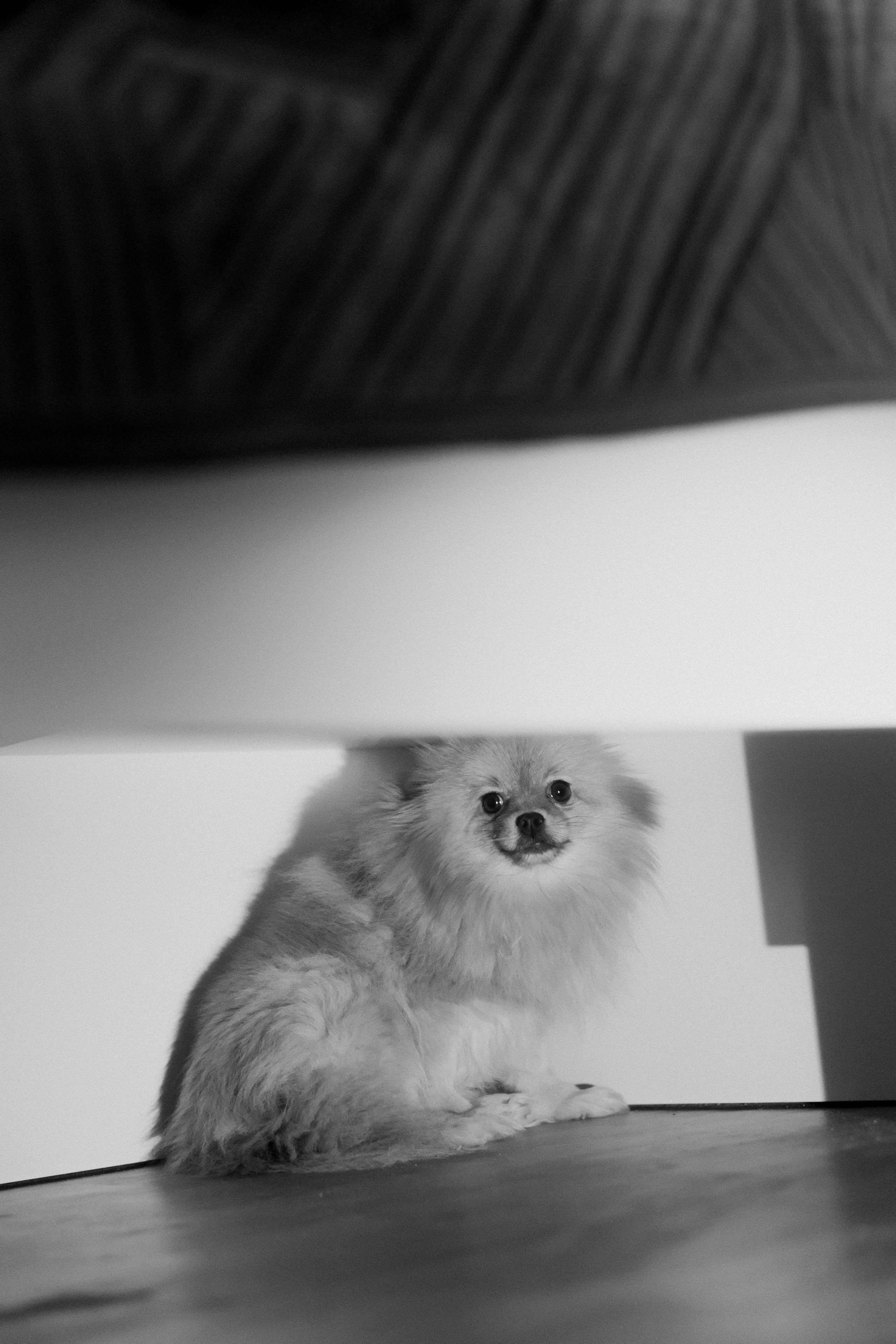 Домашняя фотосессия. Свадебный и семейный фотограф г. Волгоград Биленко Ангелина