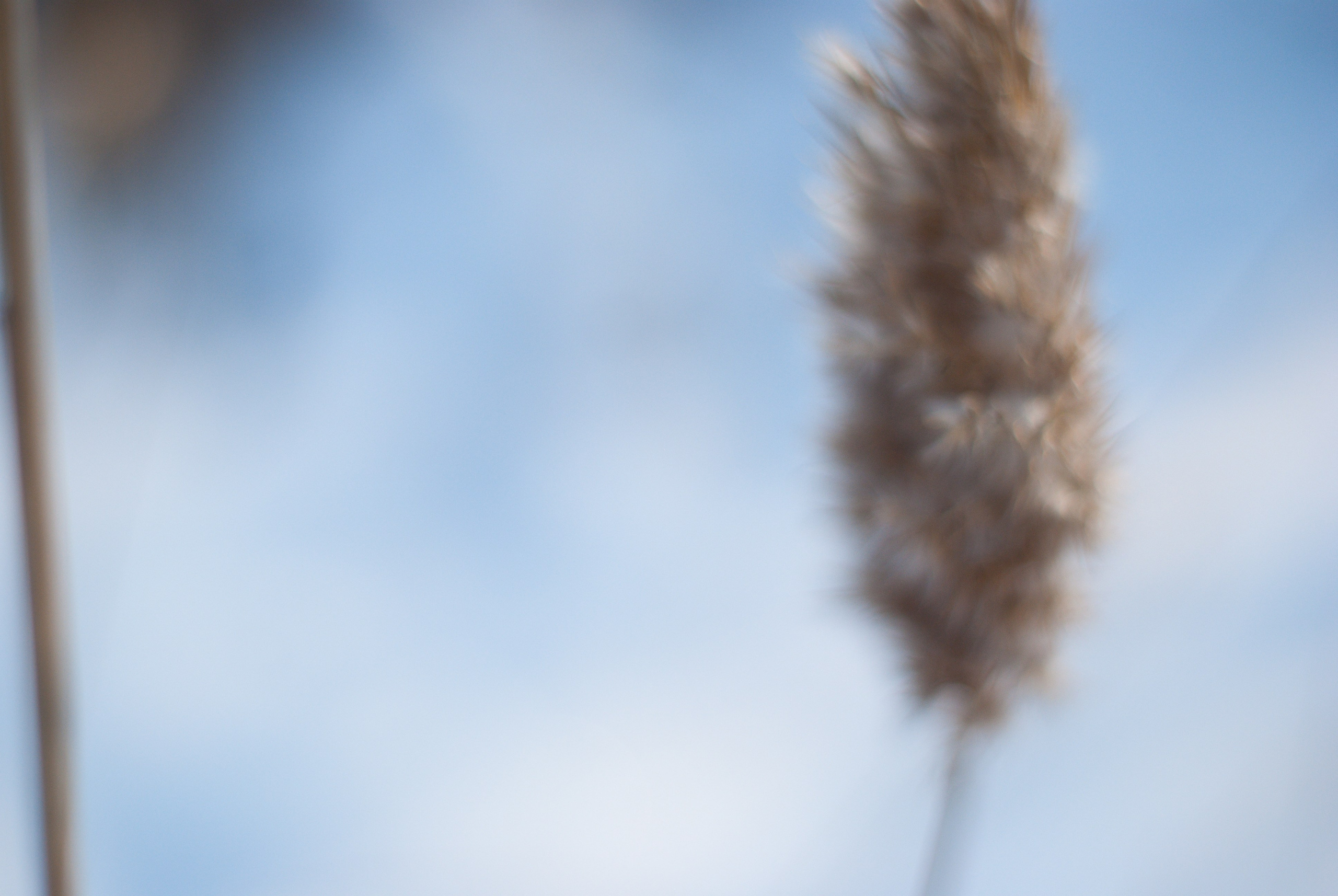 Этот прекрасный мир