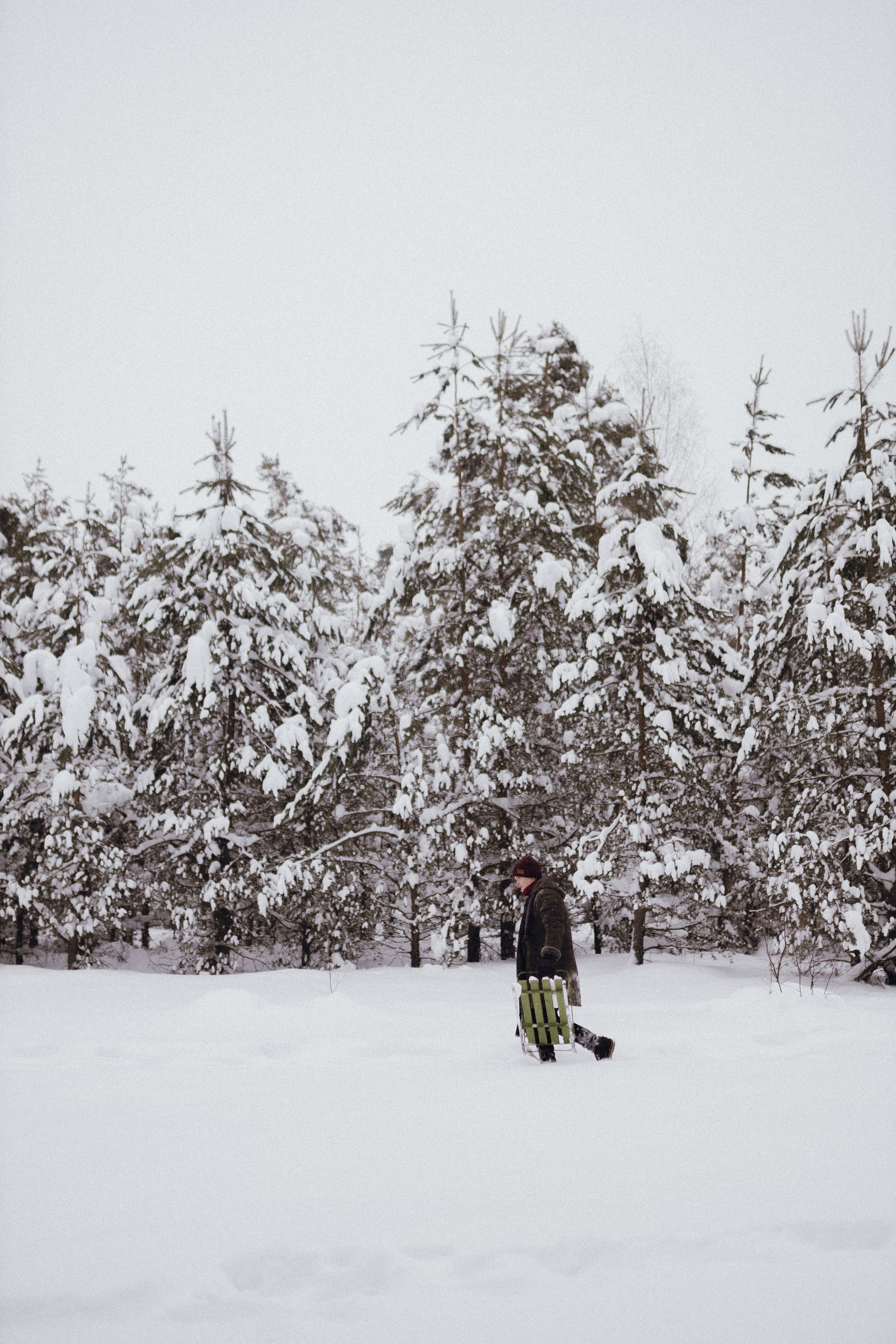 Алена и Вова. Фотограф во Владимире, Москве и Суздале — Полина Романычева