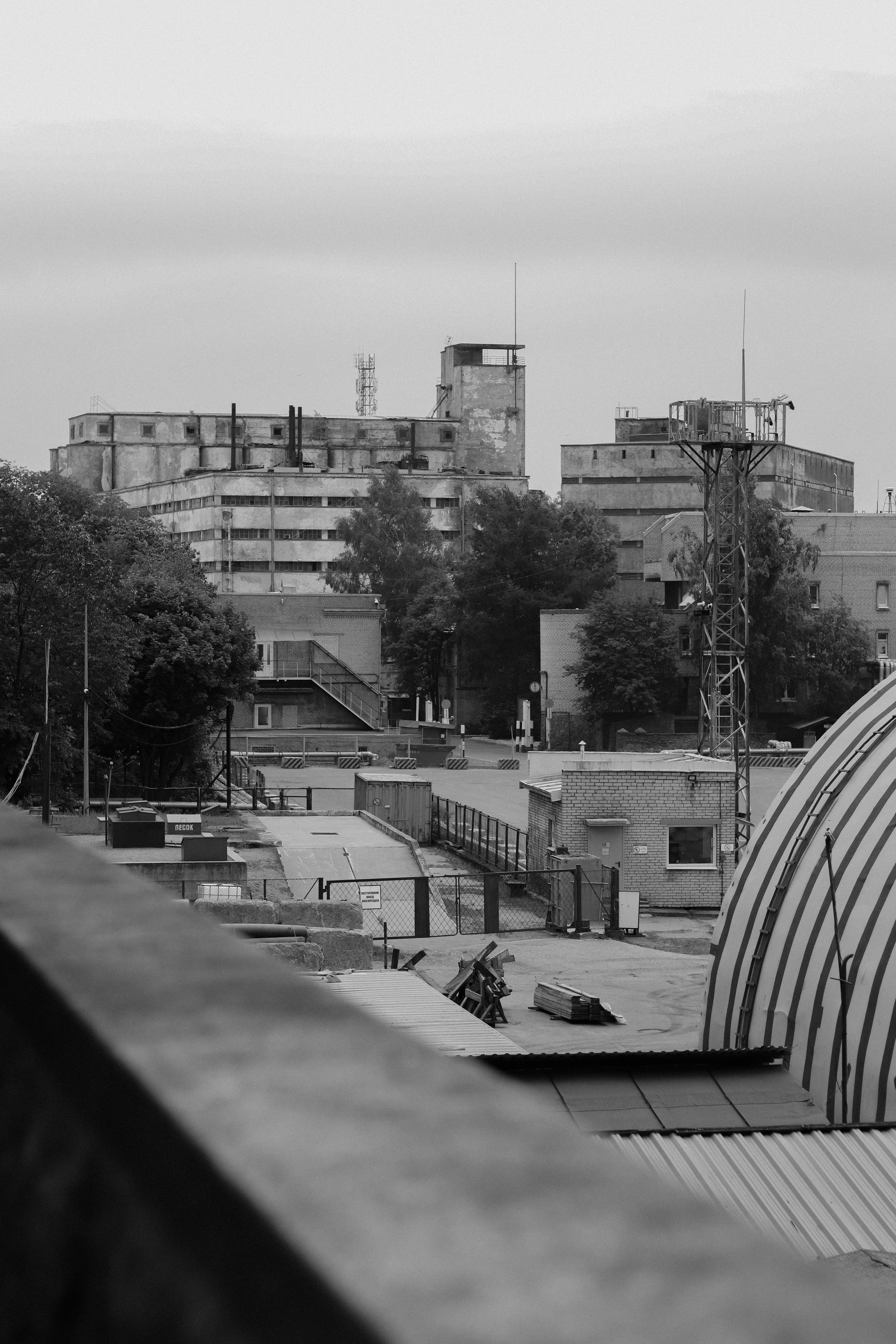 Contour. Фотограф и исследователь фотографии из Санкт-Петербурга Елизавета Веприцкая