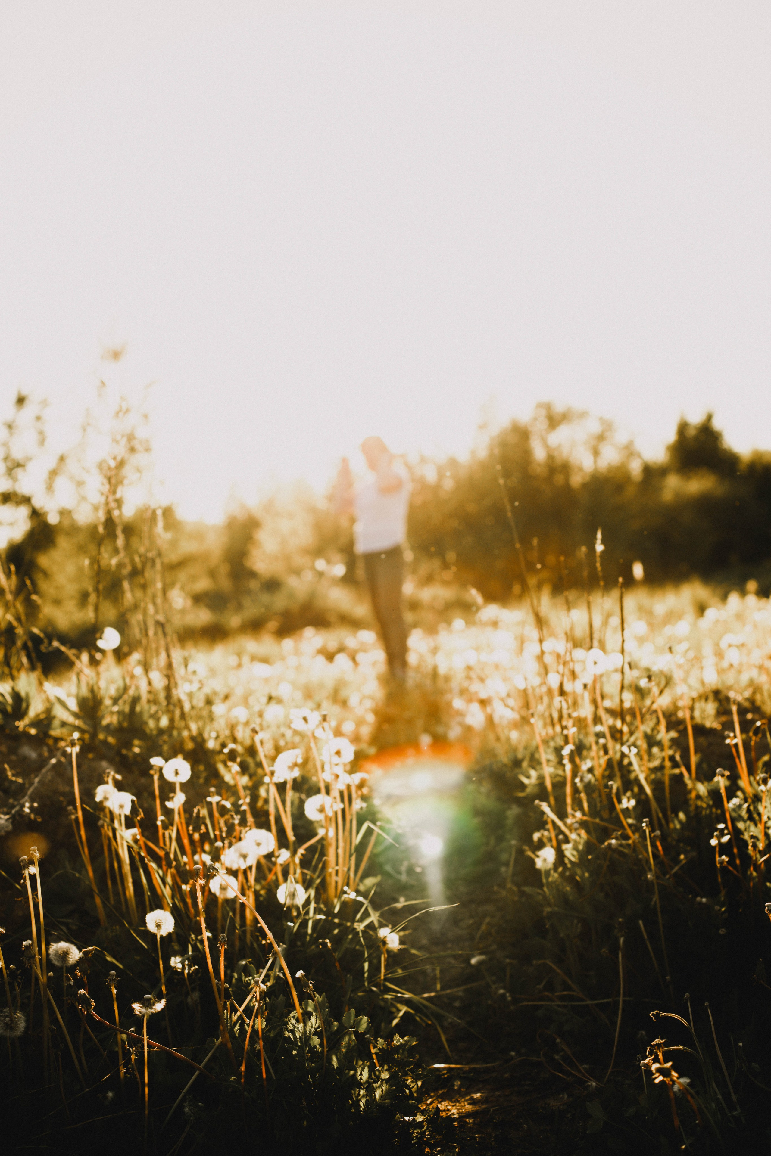 Гера и Примус. Фотограф в Нижнем Новгороде