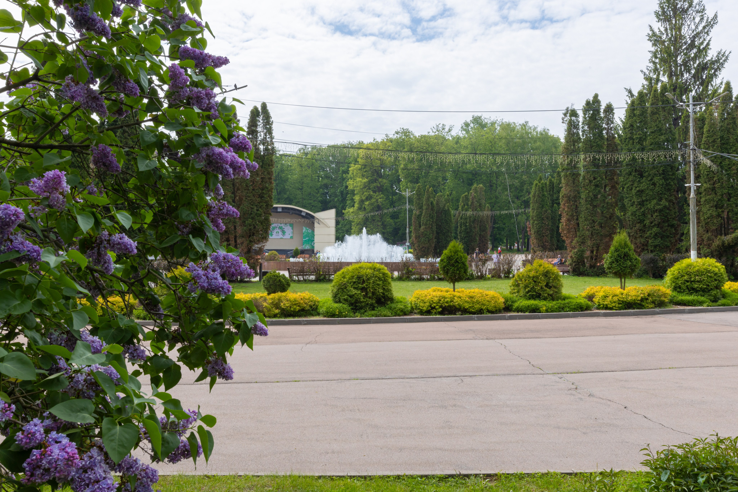 Парк им. П. П. Белоусова г. Тула 2024 г. Фотограф в Туле Крупский АнДРей. Фотостудия «КАДР71» в Туле