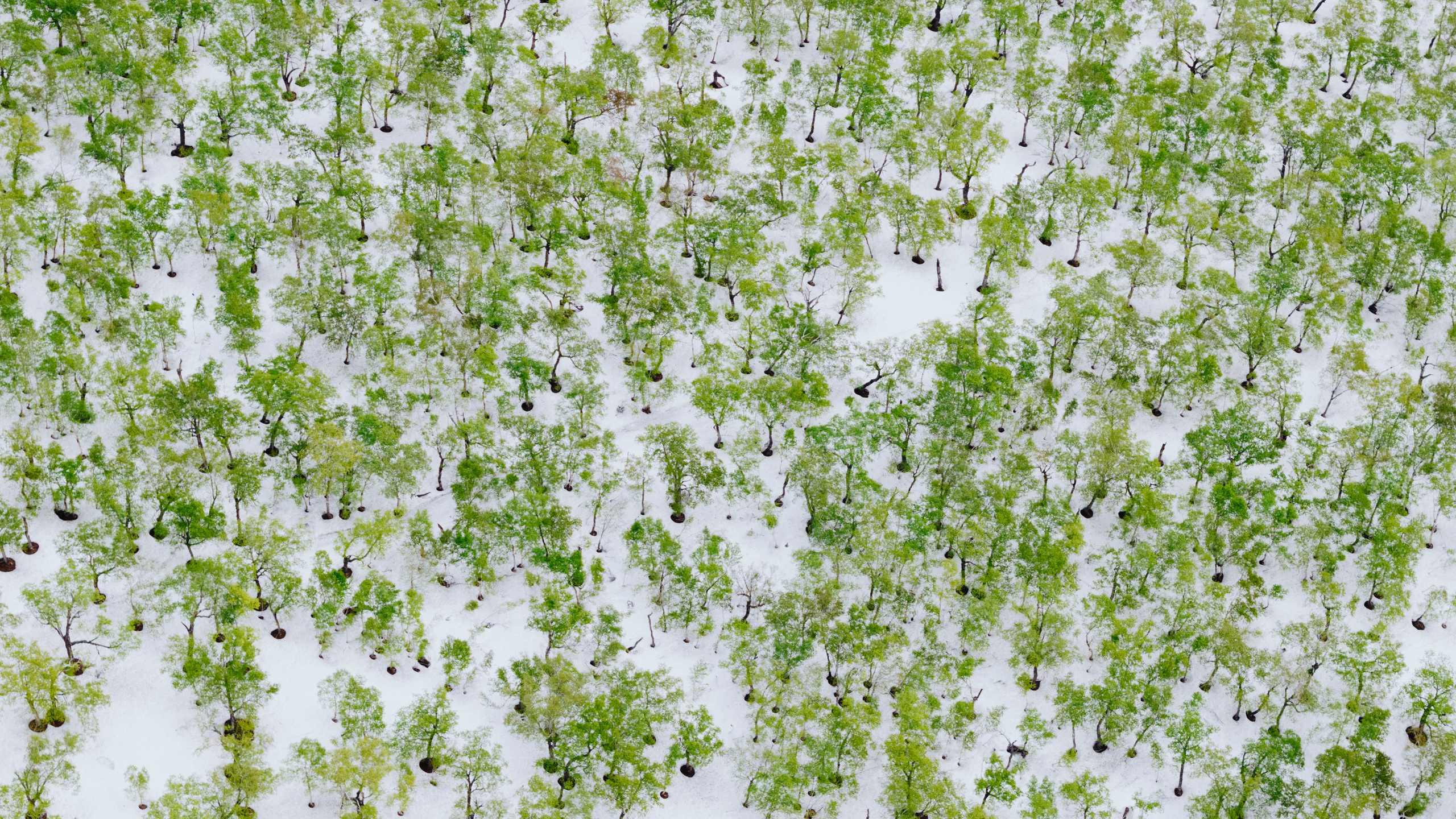 Aerials & Travel. Alexey Shabanov photography
