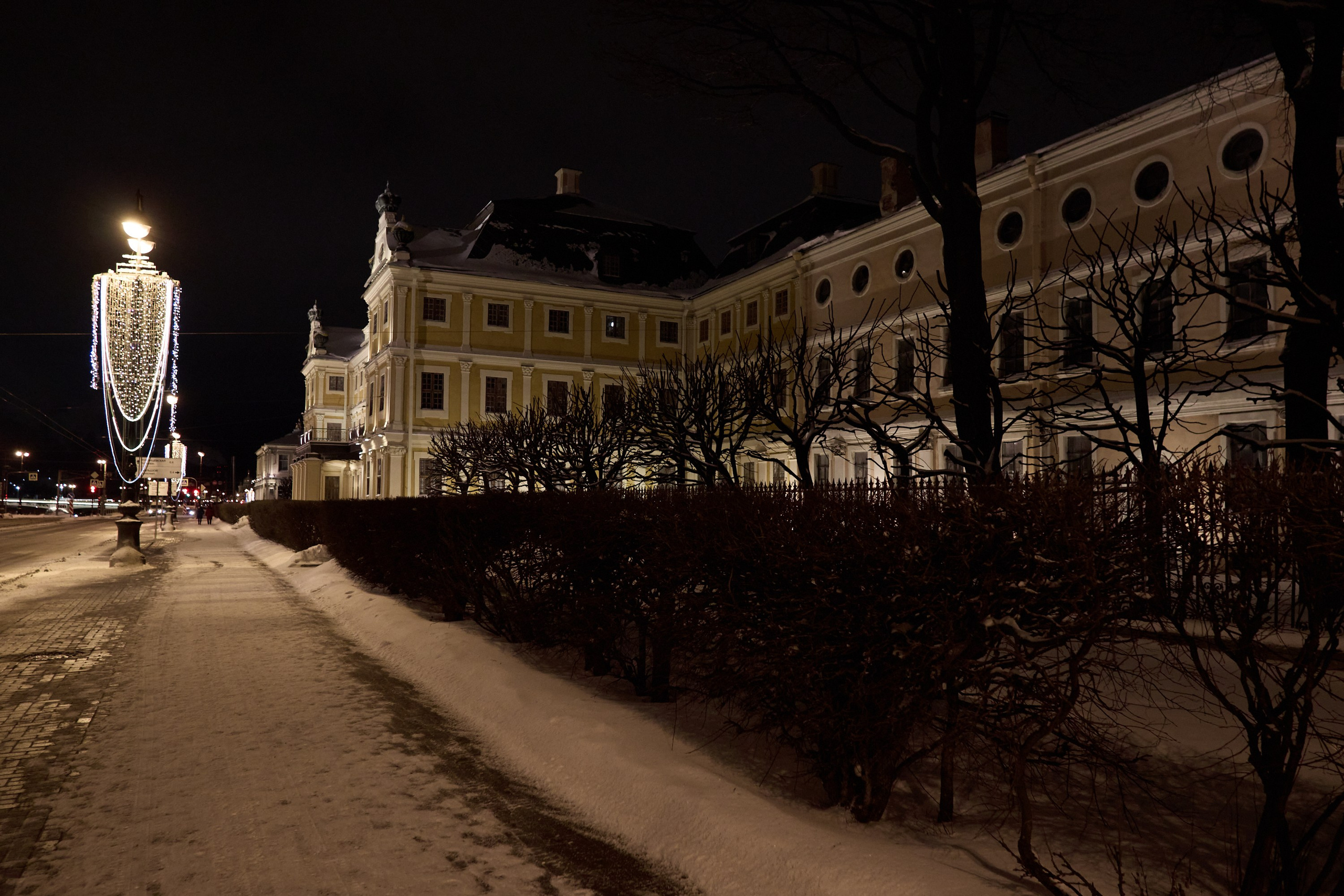 Рождество въ Санктъ-Петербургѣ. Фотографъ Сергѣевъ. Поймать мгновеніе