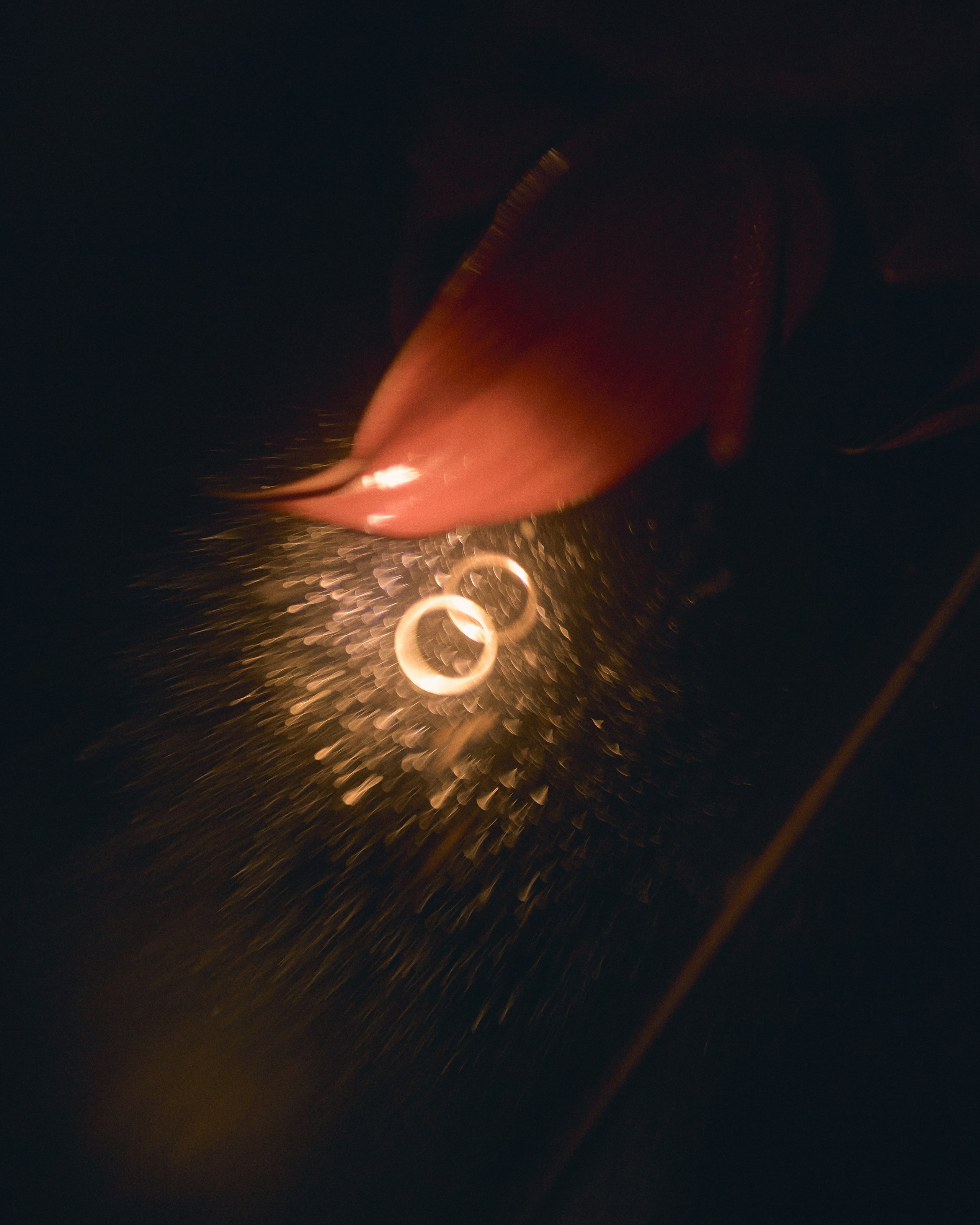 Арина и Константин. Фотограф в Ростове-на-Дону