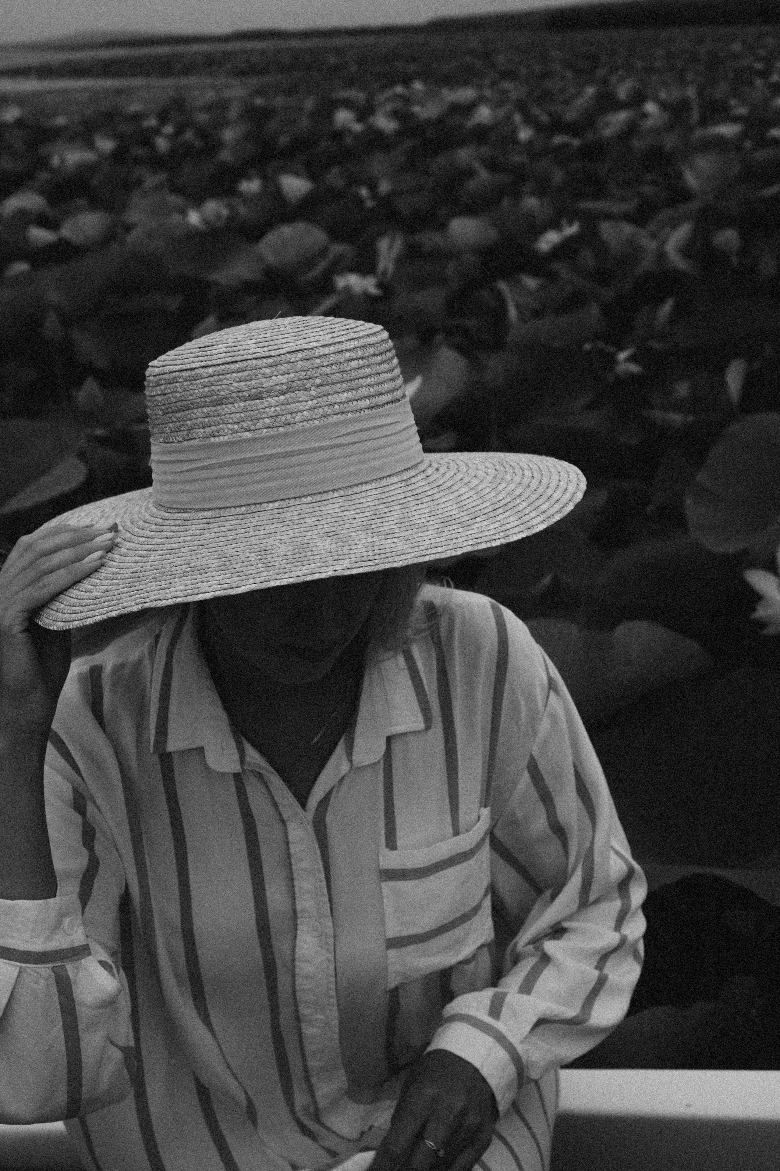 ЛОТОСОВАЯ ПОЛЯНА. Профессиональный фотограф, Санкт-Петербург — Виктория Богомолова